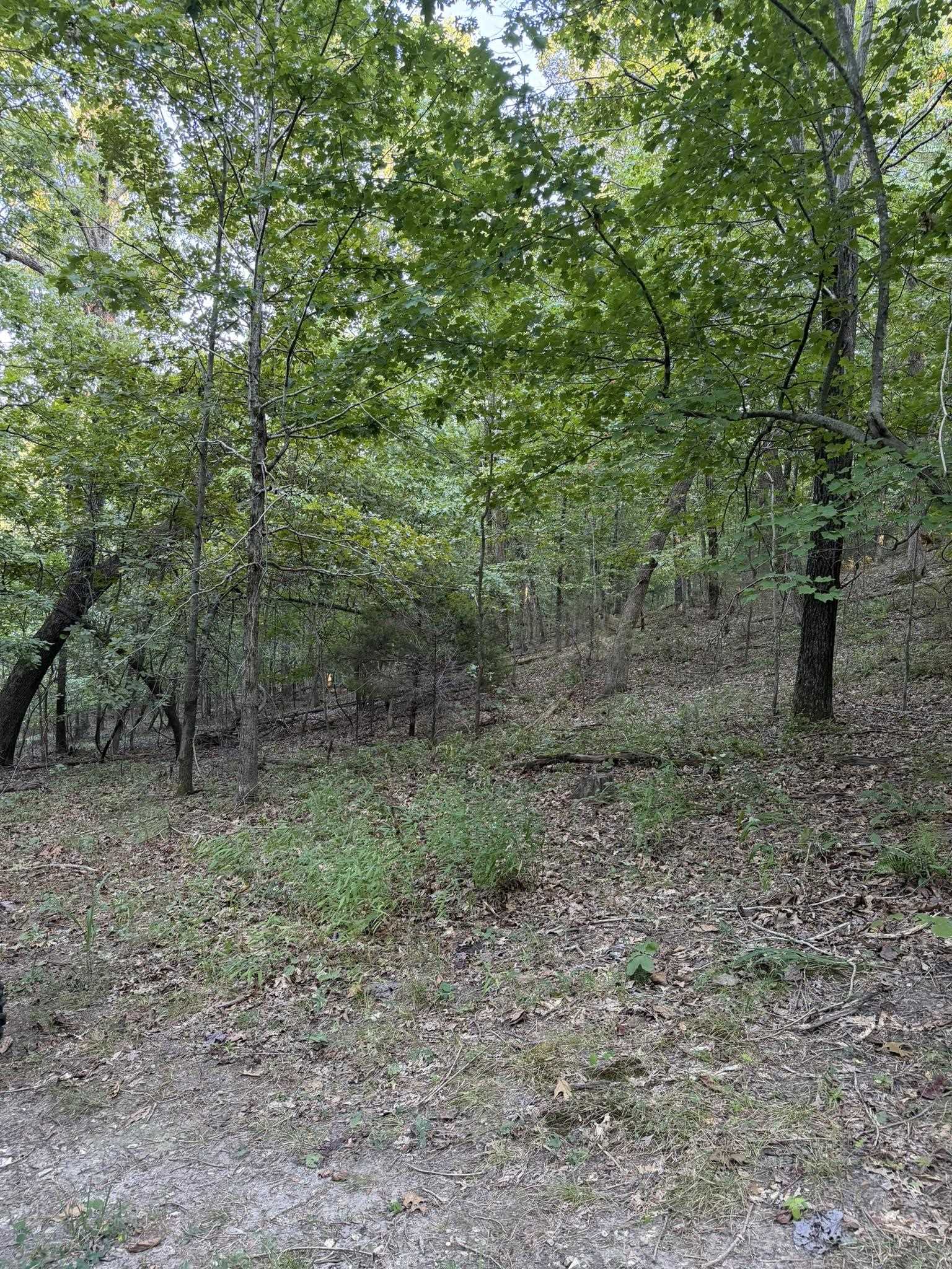 143a Dreamrider Dr. Property Photo 22