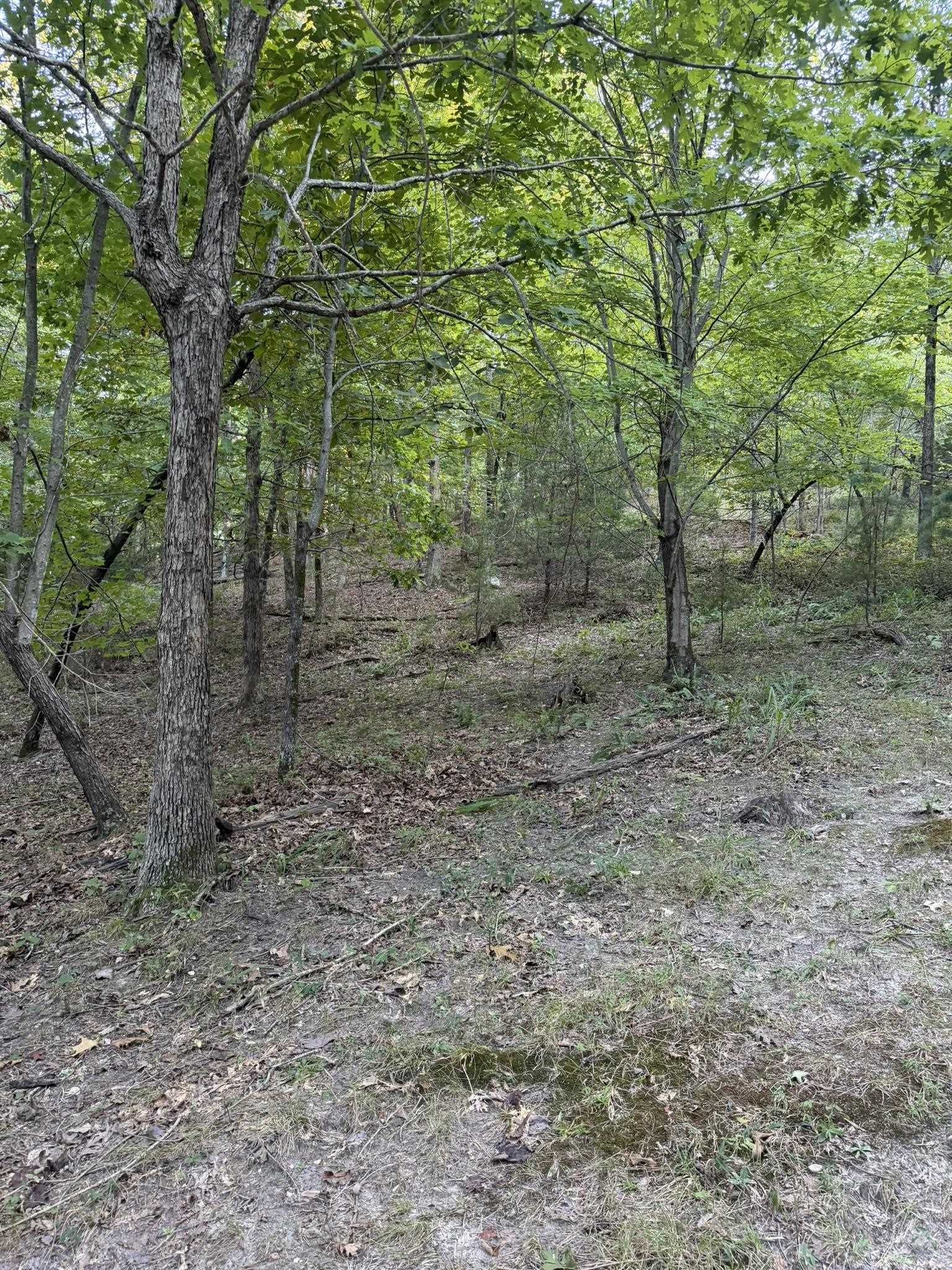 143a Dreamrider Dr. Property Photo 23