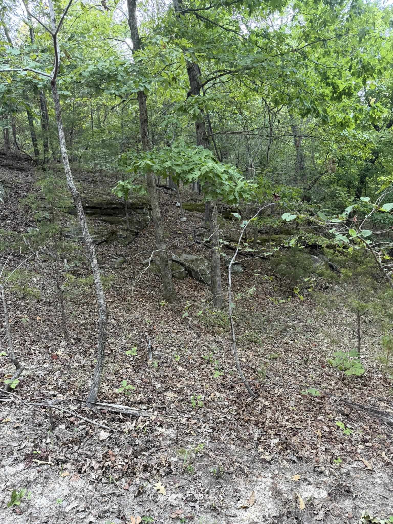 143a Dreamrider Dr. Property Photo 24