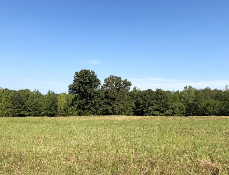 Off Of Law 107 Property Photo 3