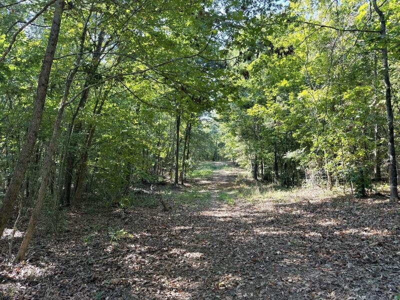 Off Of Law 107 Property Photo 4