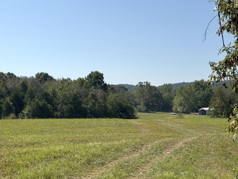 Off Of Law 107 Property Photo 6