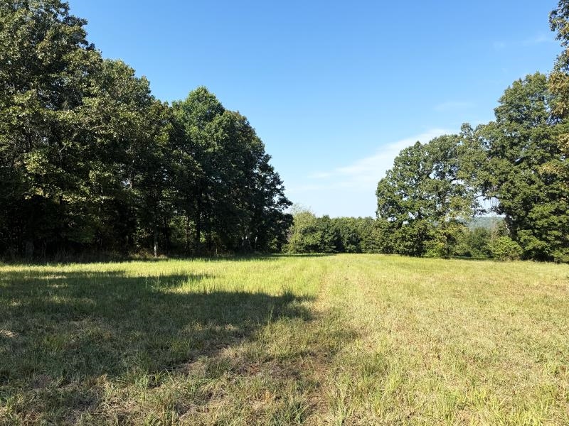 Off Of Law 107 Property Photo 8