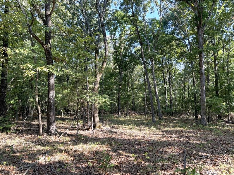 Off Of Law 107 Property Photo 11