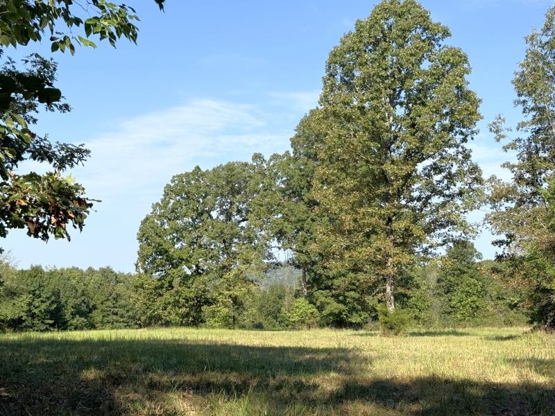 Off Of Law 107 Property Photo 13