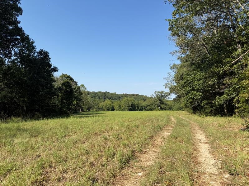 Off Of Law 107 Property Photo 14