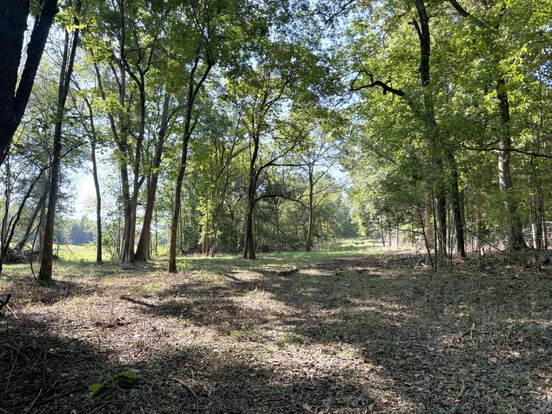 Off Of Law 107 Property Photo 16