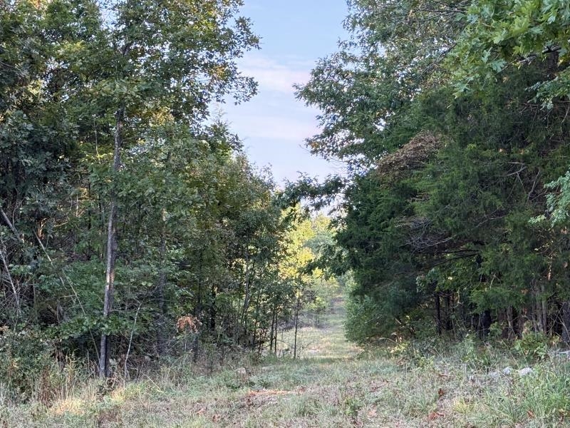 Off Of Law 107 Property Photo 17