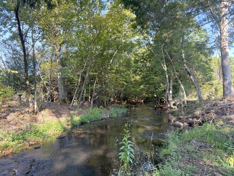 Off Of Law 107 Property Photo 19