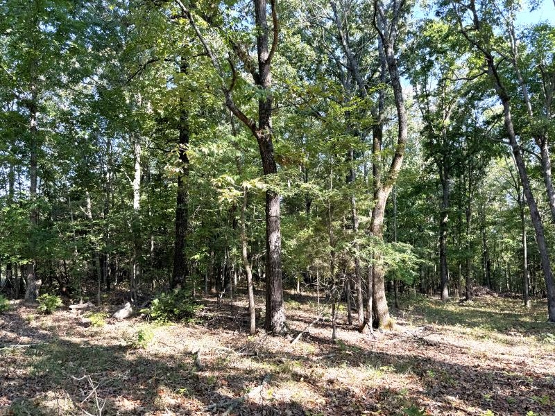 Off Of Law 107 Property Photo 21