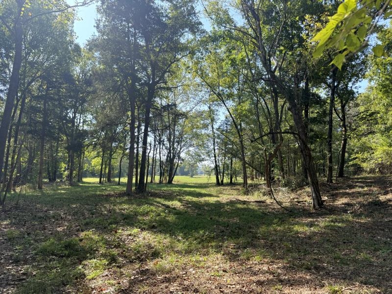 Off Of Law 107 Property Photo 24