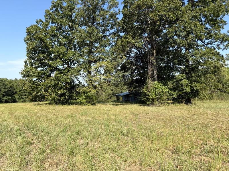 Off Of Law 107 Property Photo 32