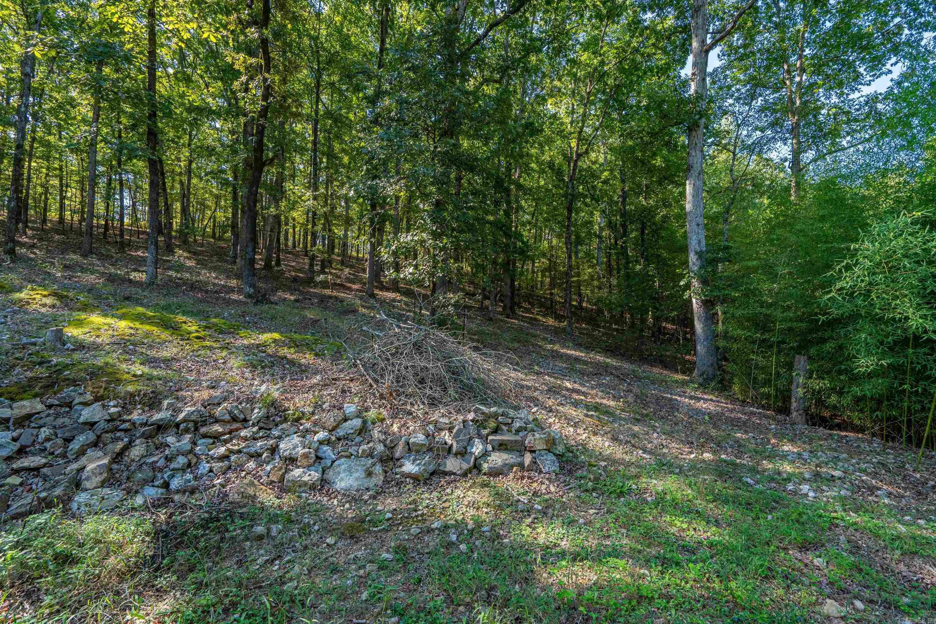 219 Oak Valley Drive Property Photo 35