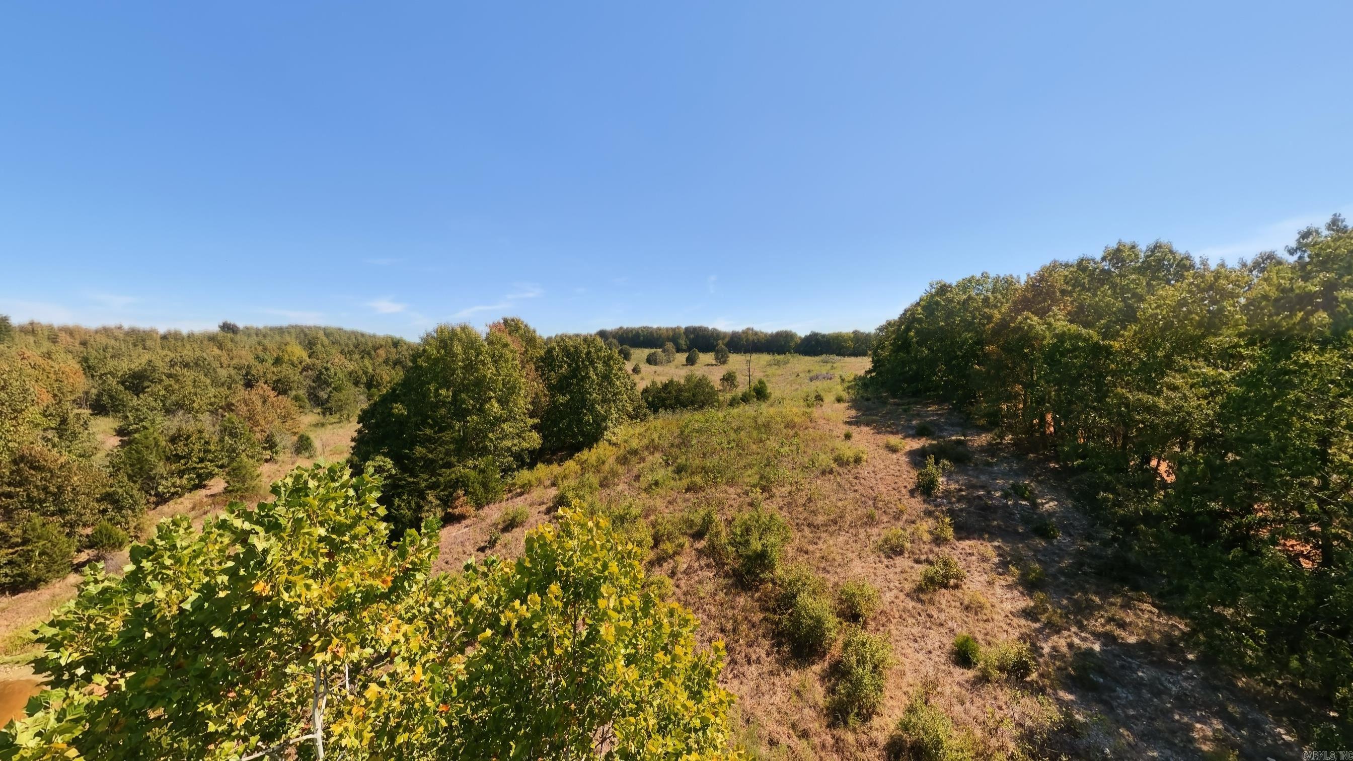 Tbd Honeytree Lane Property Photo 4