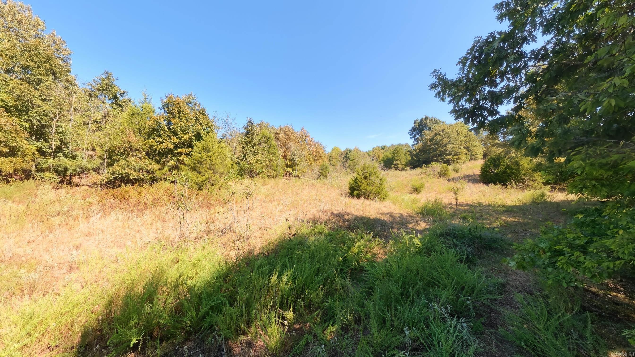Tbd Honeytree Lane Property Photo 5