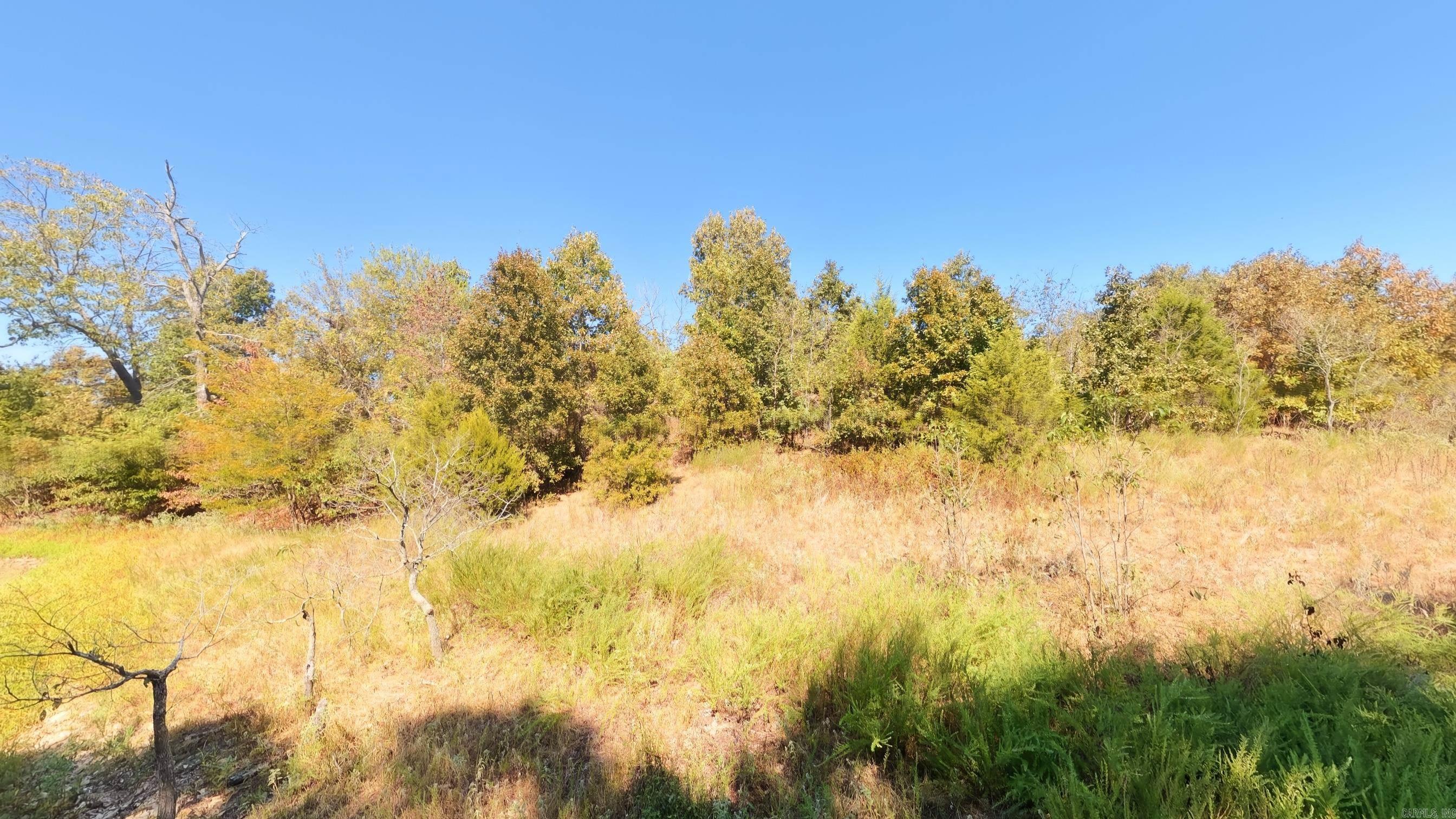 Tbd Honeytree Lane Property Photo 6