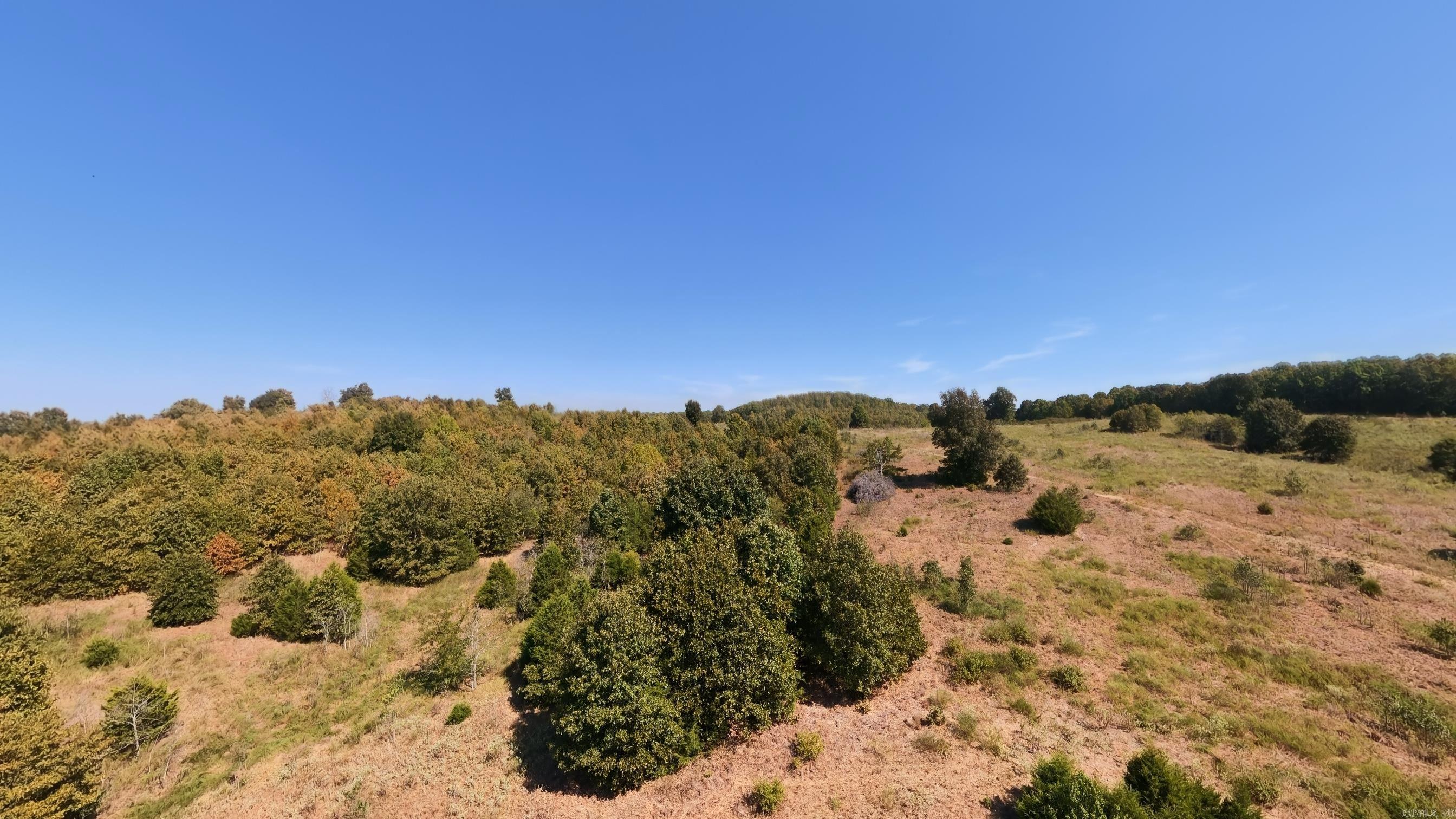 Tbd Honeytree Lane Property Photo 8