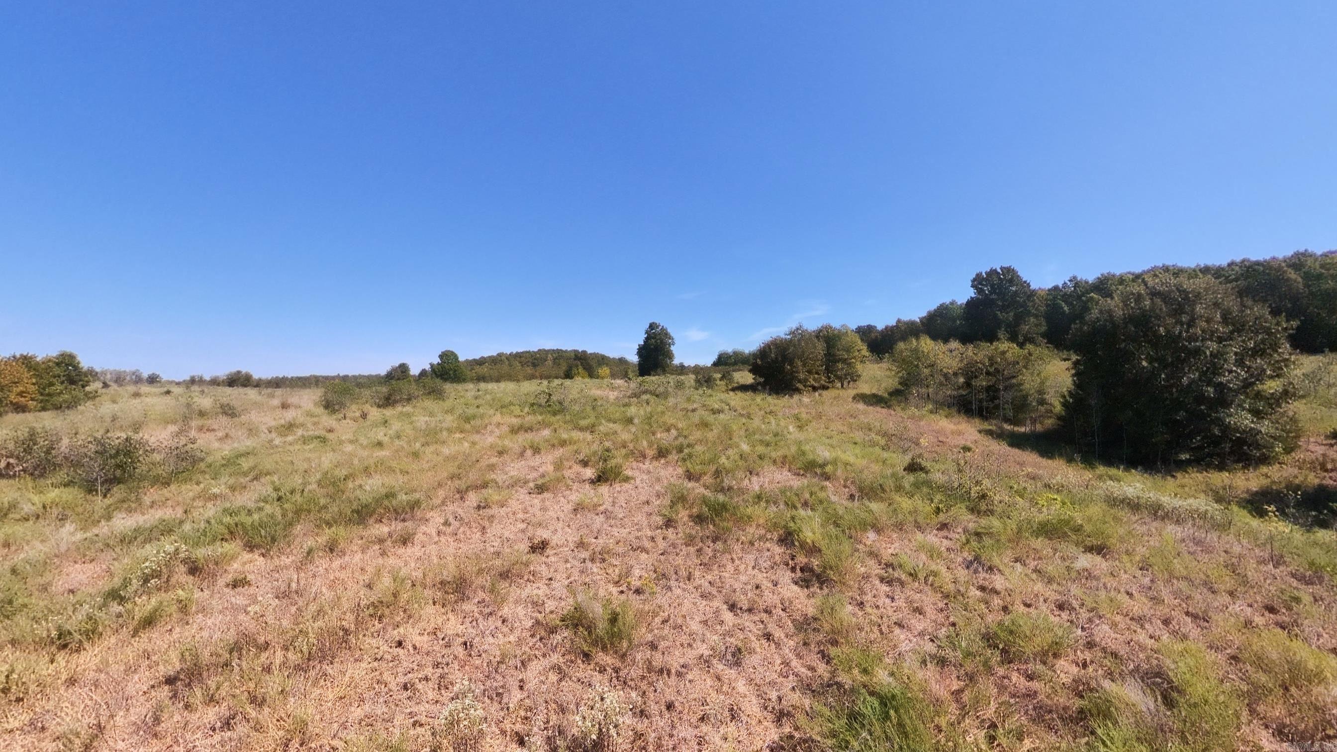 Tbd Honeytree Lane Property Photo 10