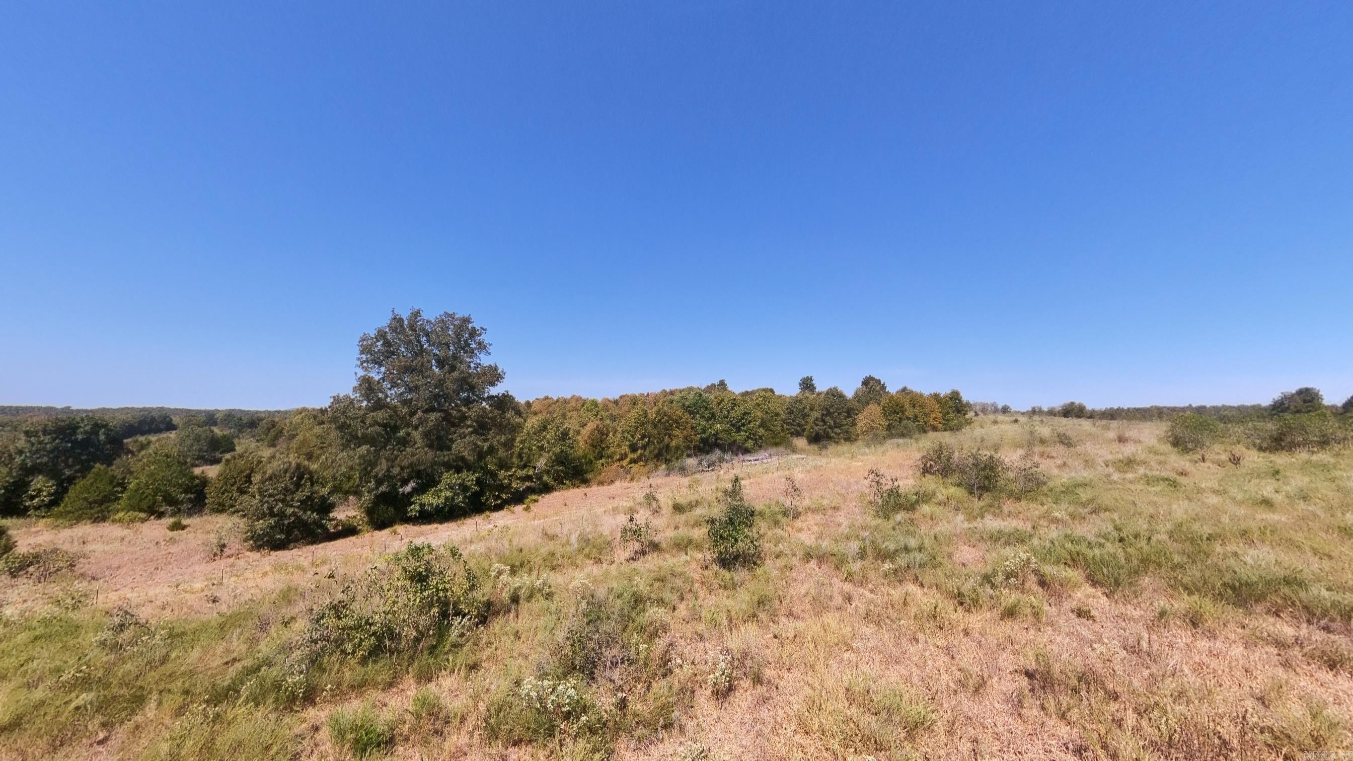 Tbd Honeytree Lane Property Photo 13