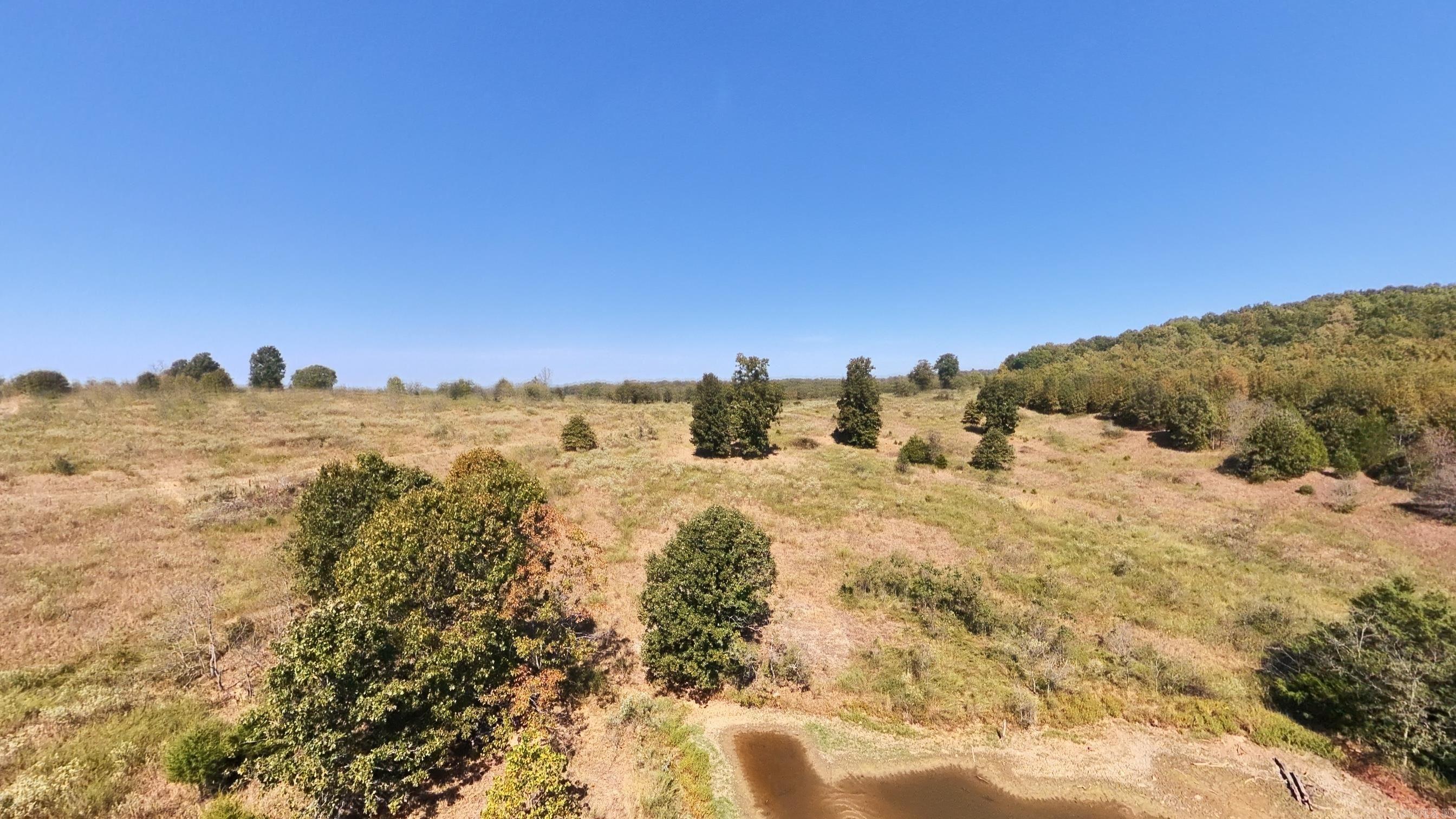 Tbd Honeytree Lane Property Photo 15