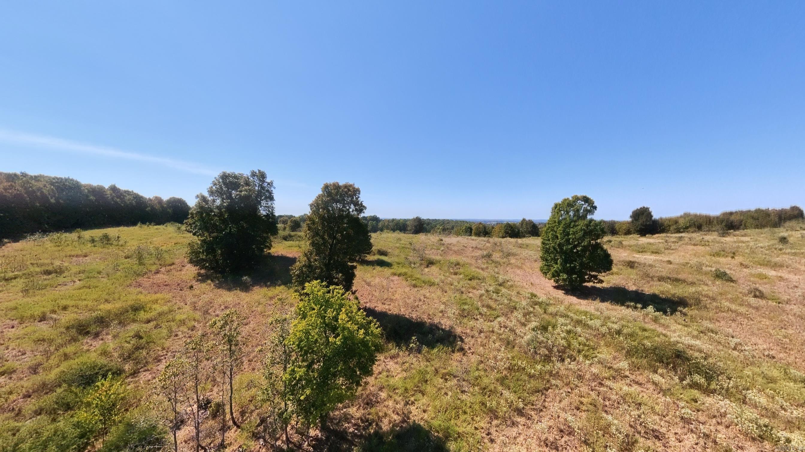 Tbd Honeytree Lane Property Photo 16