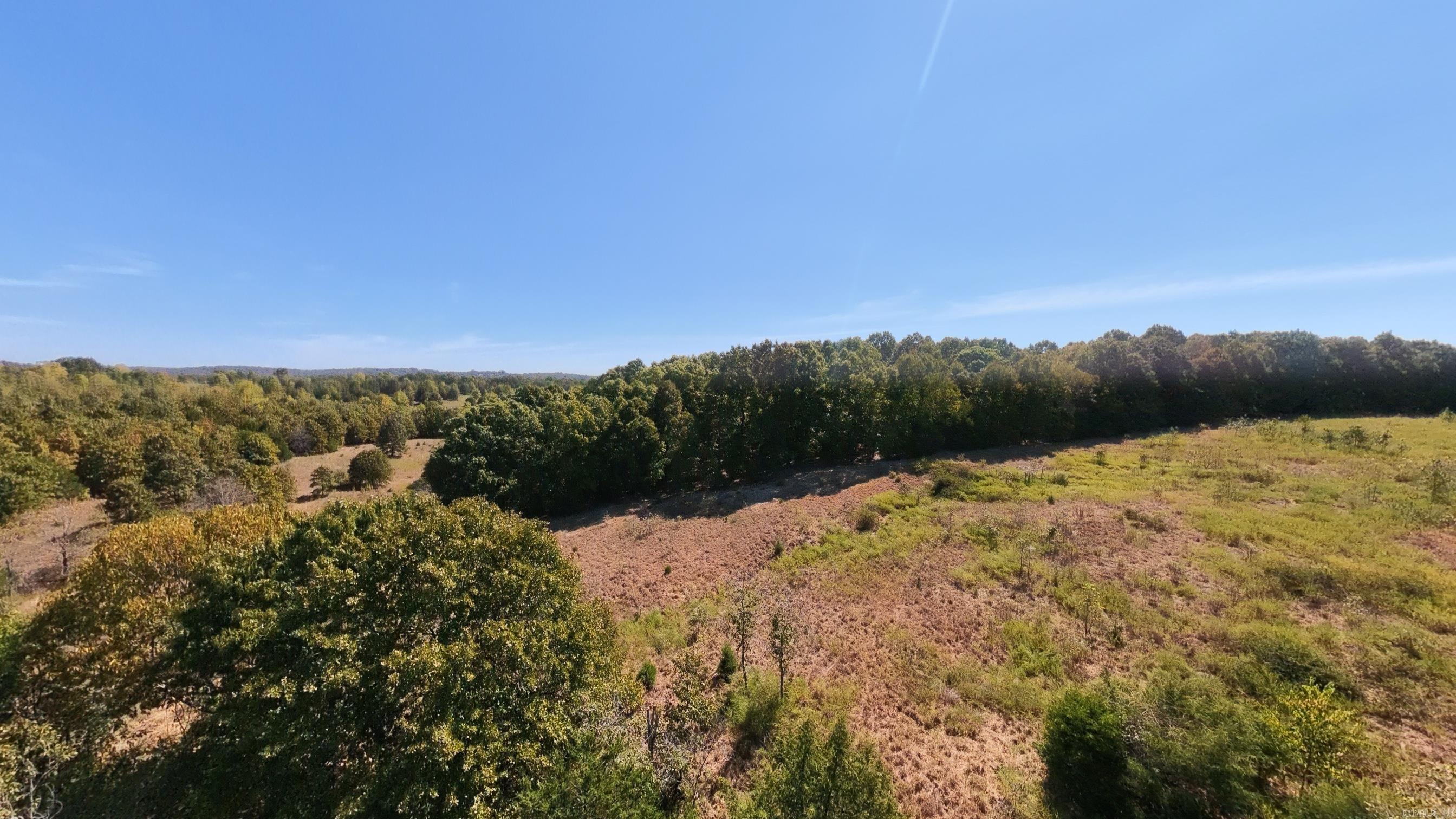 Tbd Honeytree Lane Property Photo 17