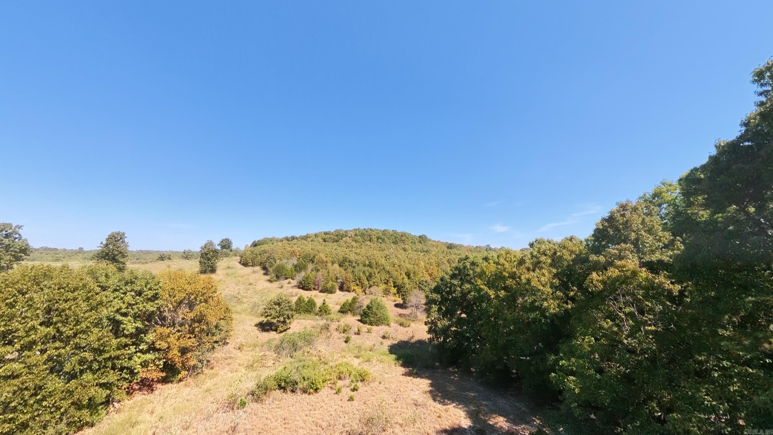 Tbd Honeytree Lane Property Photo 19