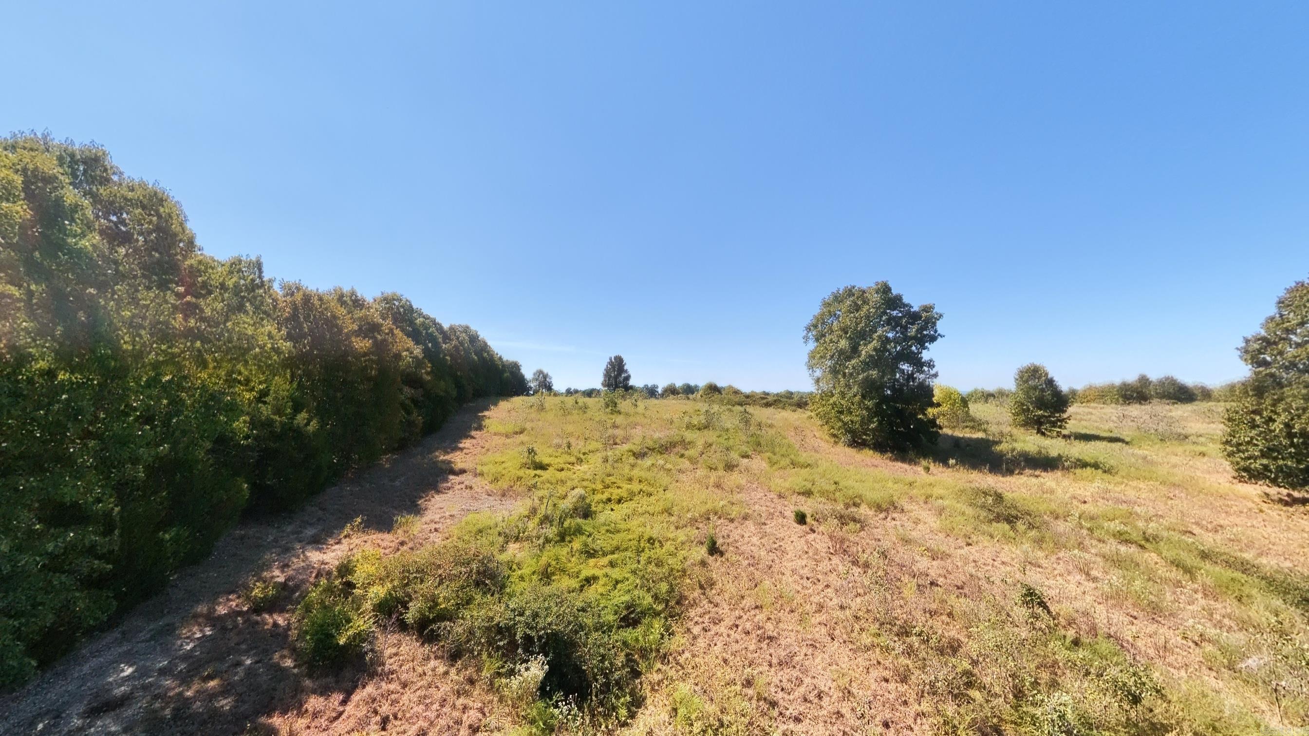 Tbd Honeytree Lane Property Photo 20
