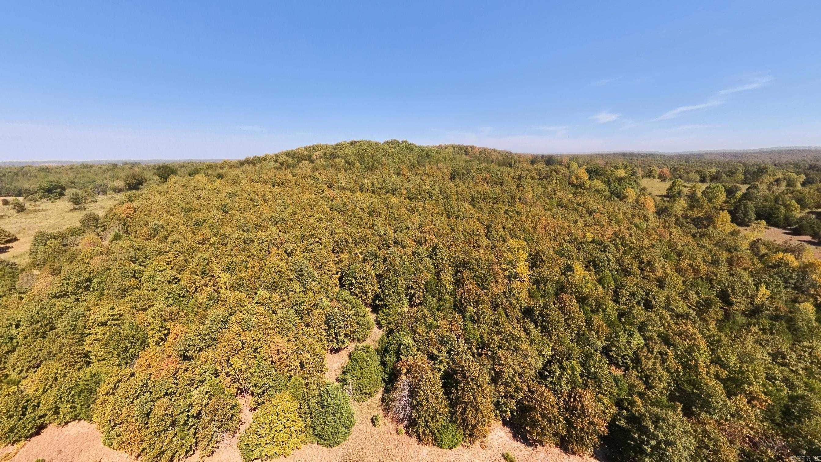 Tbd Honeytree Lane Property Photo 22