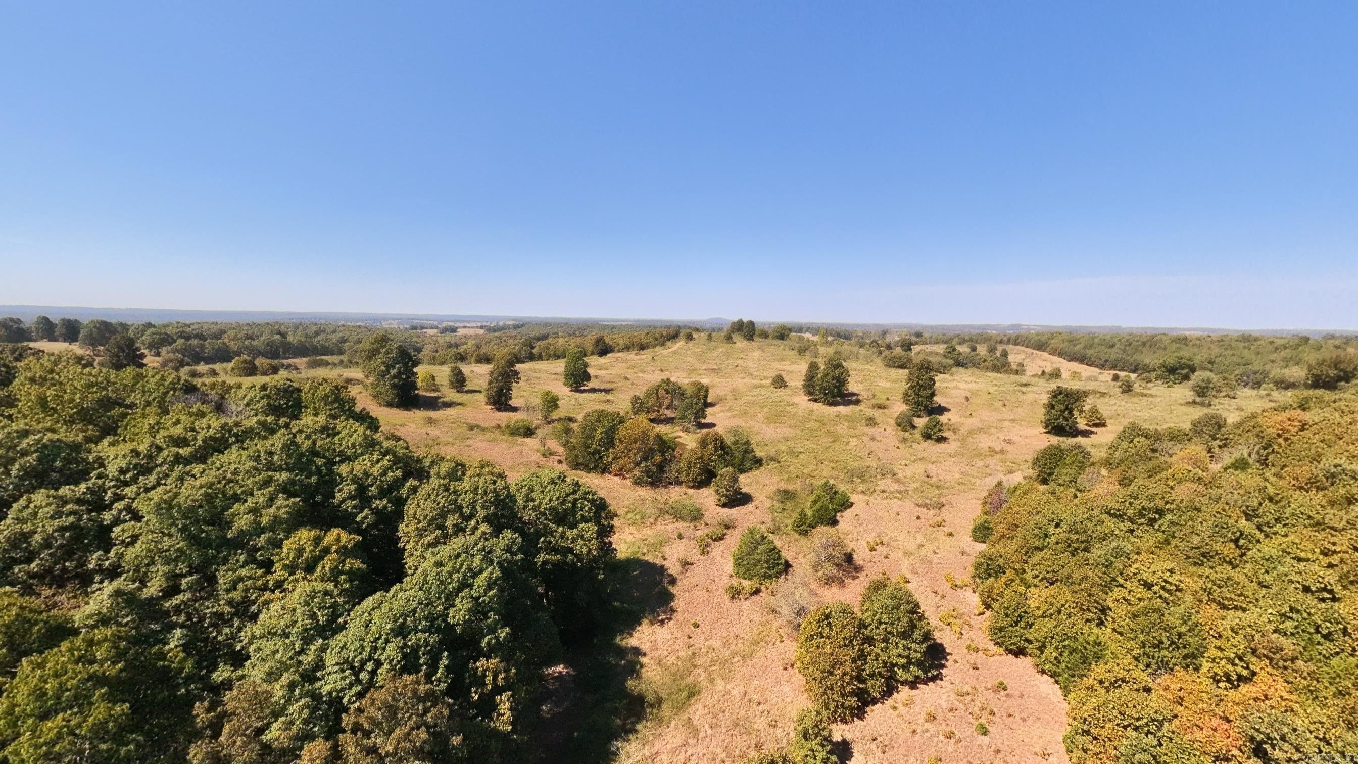 Tbd Honeytree Lane Property Photo 23