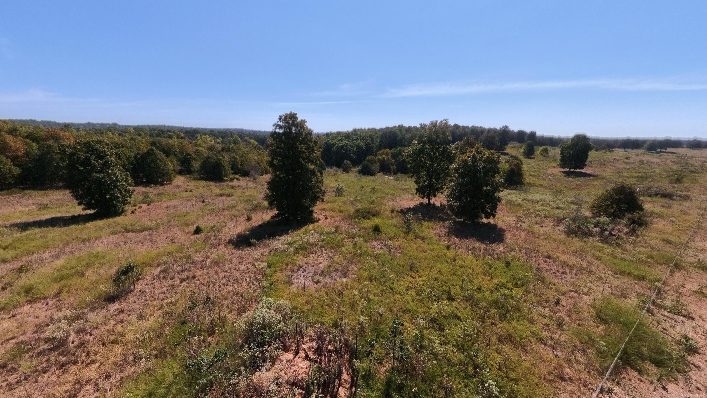 Tbd Honeytree Lane Property Photo 24