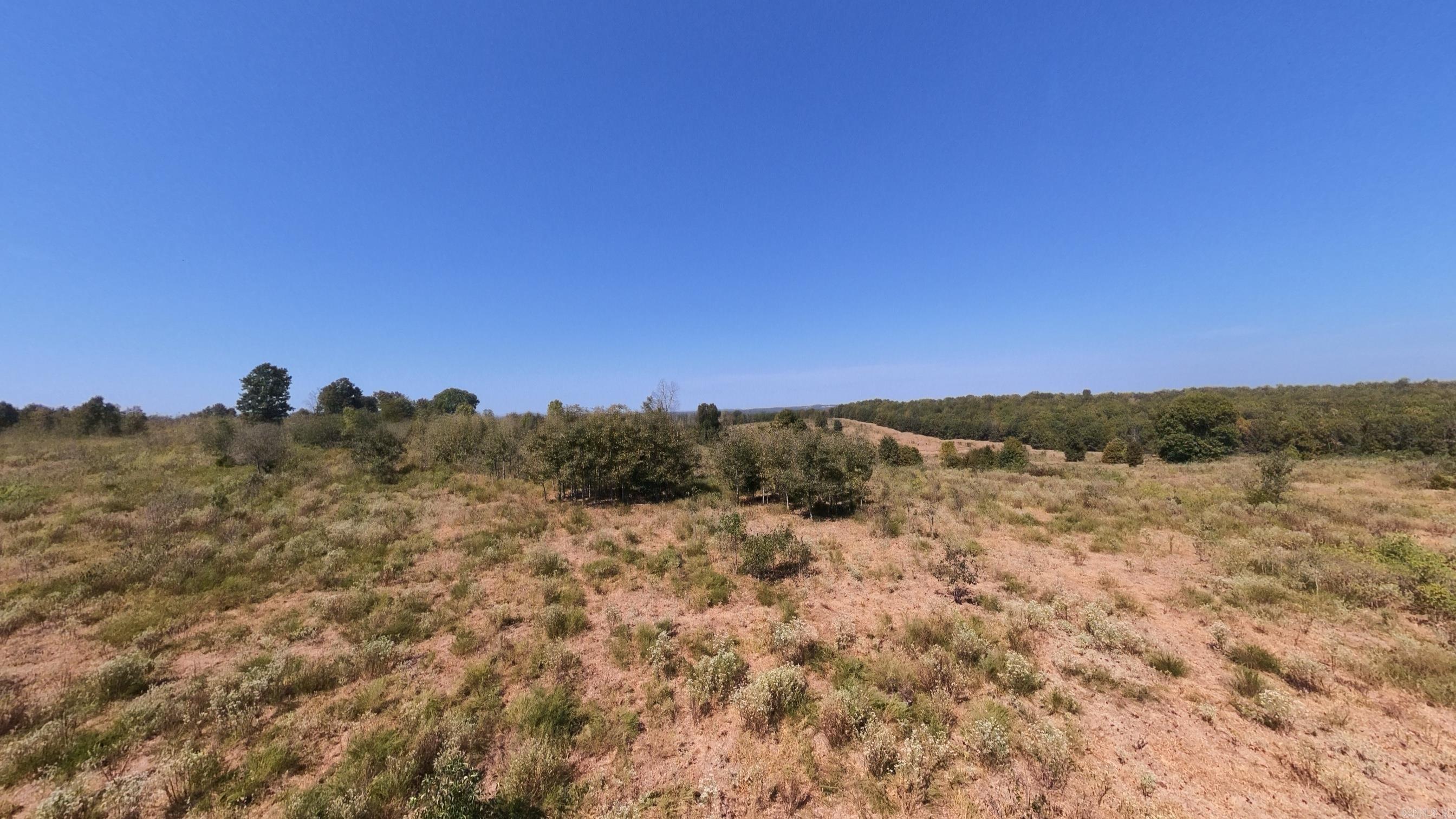Tbd Honeytree Lane Property Photo 25