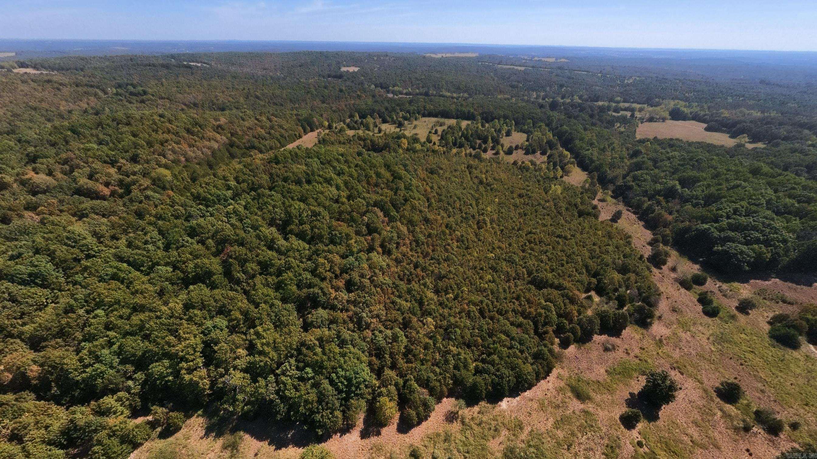 Tbd Honeytree Lane Property Photo 27