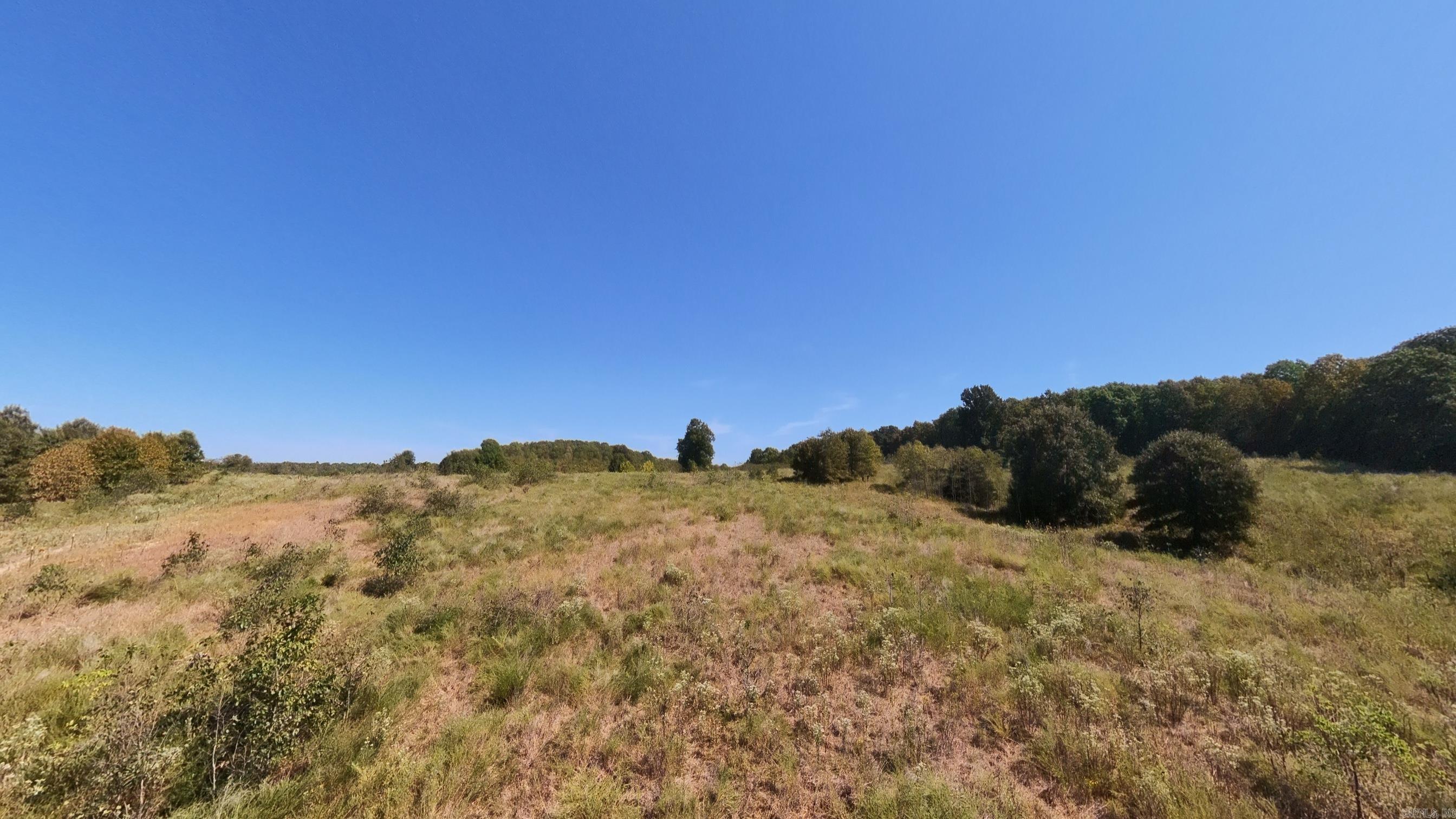 Tbd Honeytree Lane Property Photo 28