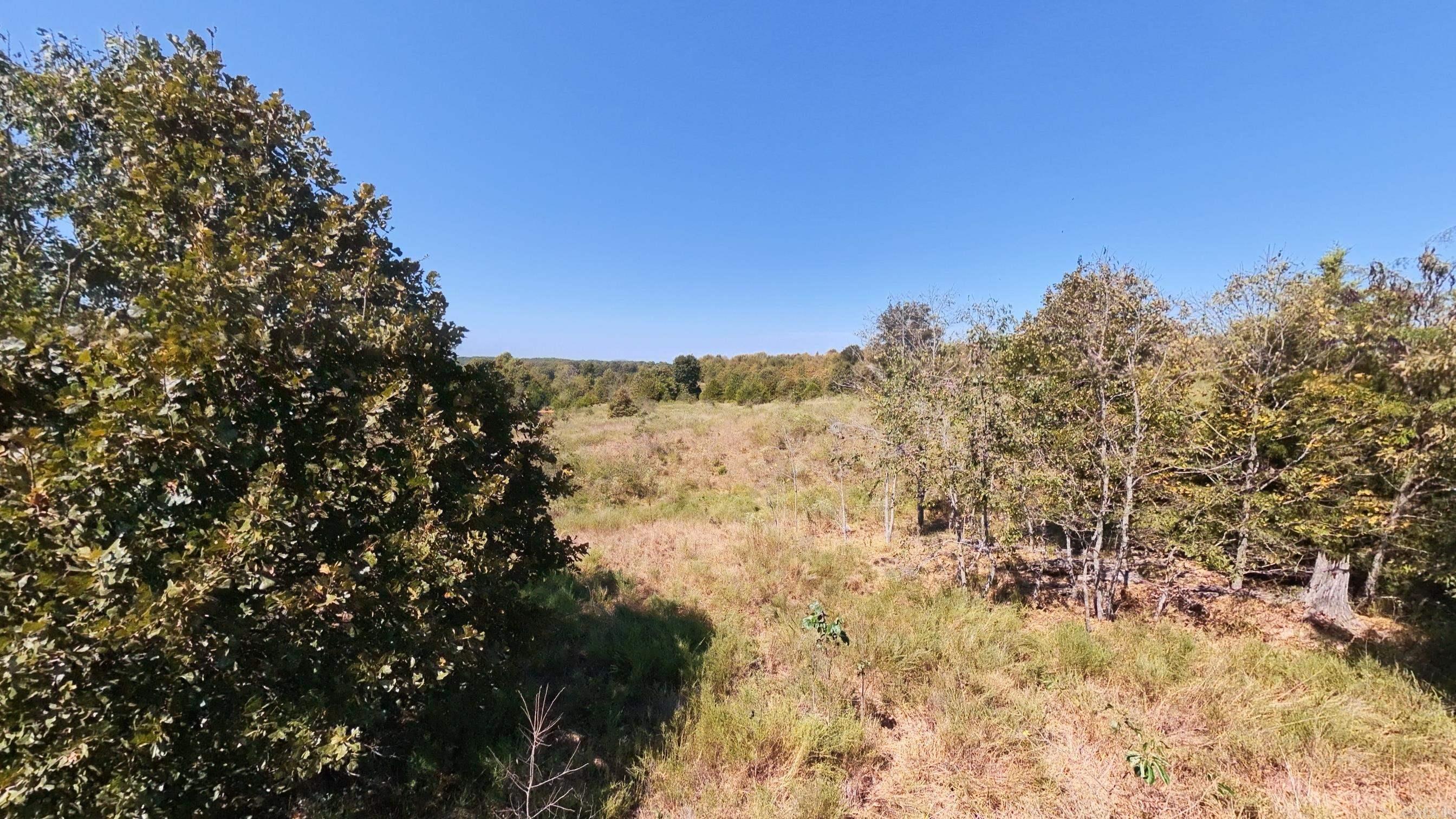 Tbd Honeytree Lane Property Photo 29
