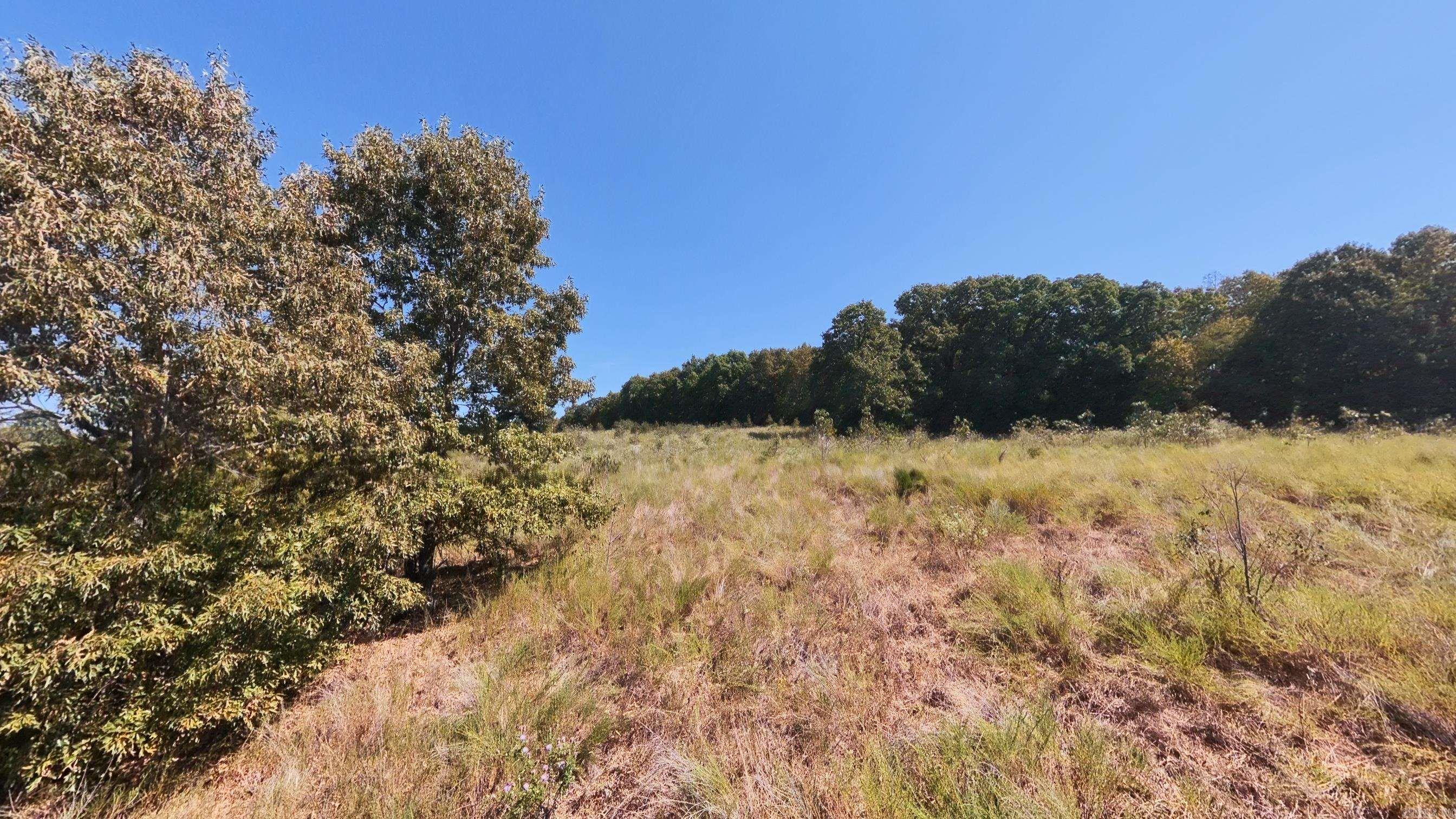 Tbd Honeytree Lane Property Photo 30