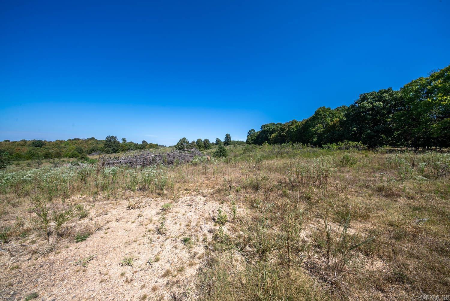 Tbd Honeytree Lane Property Photo 33