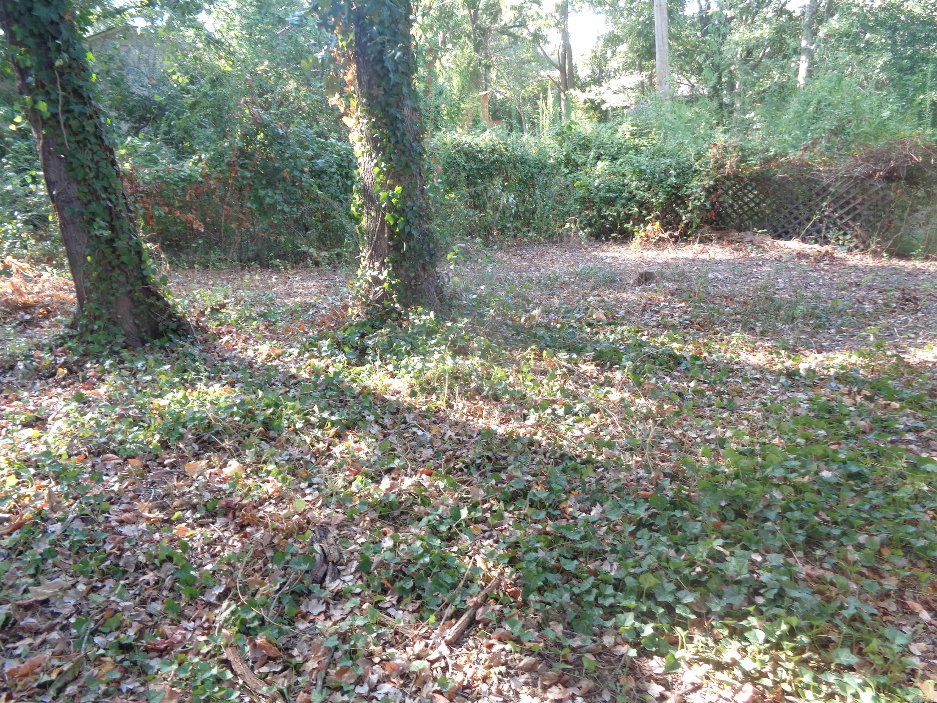 300 Atkins Road Property Photo 9
