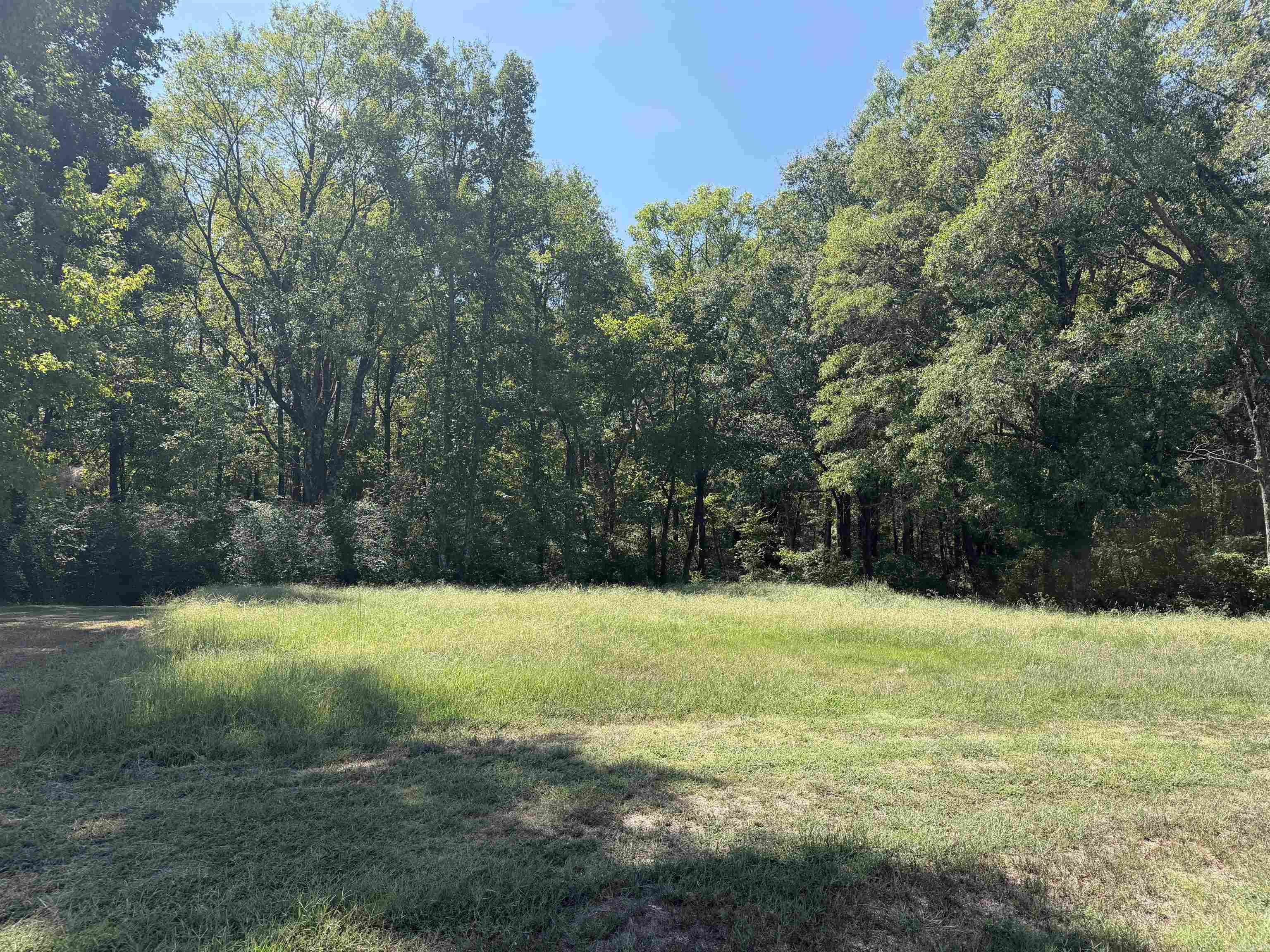 402 Hwy 286 E Tract 1 Property Photo 2