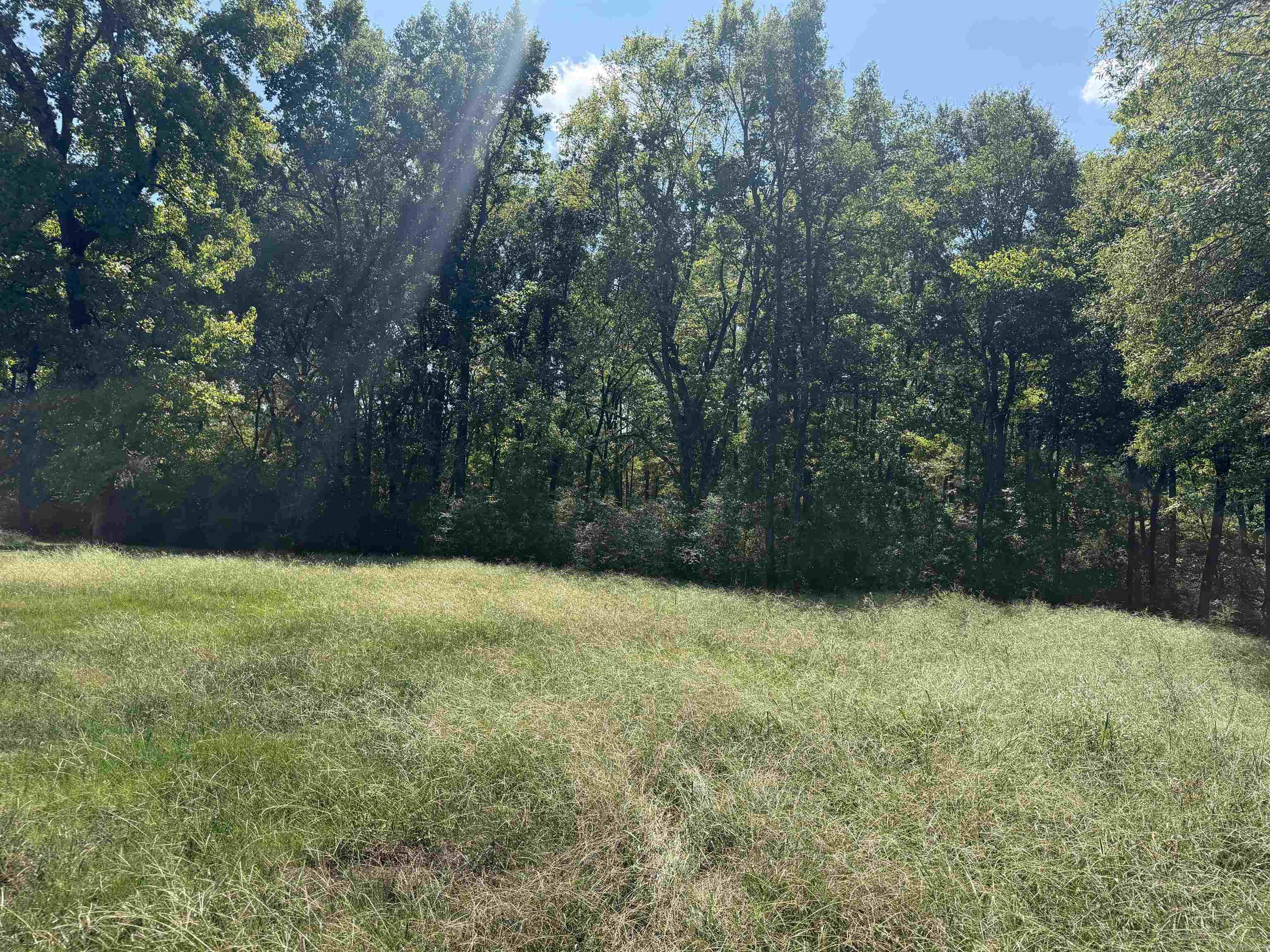 402 Hwy 286 E Tract 1 Property Photo 3