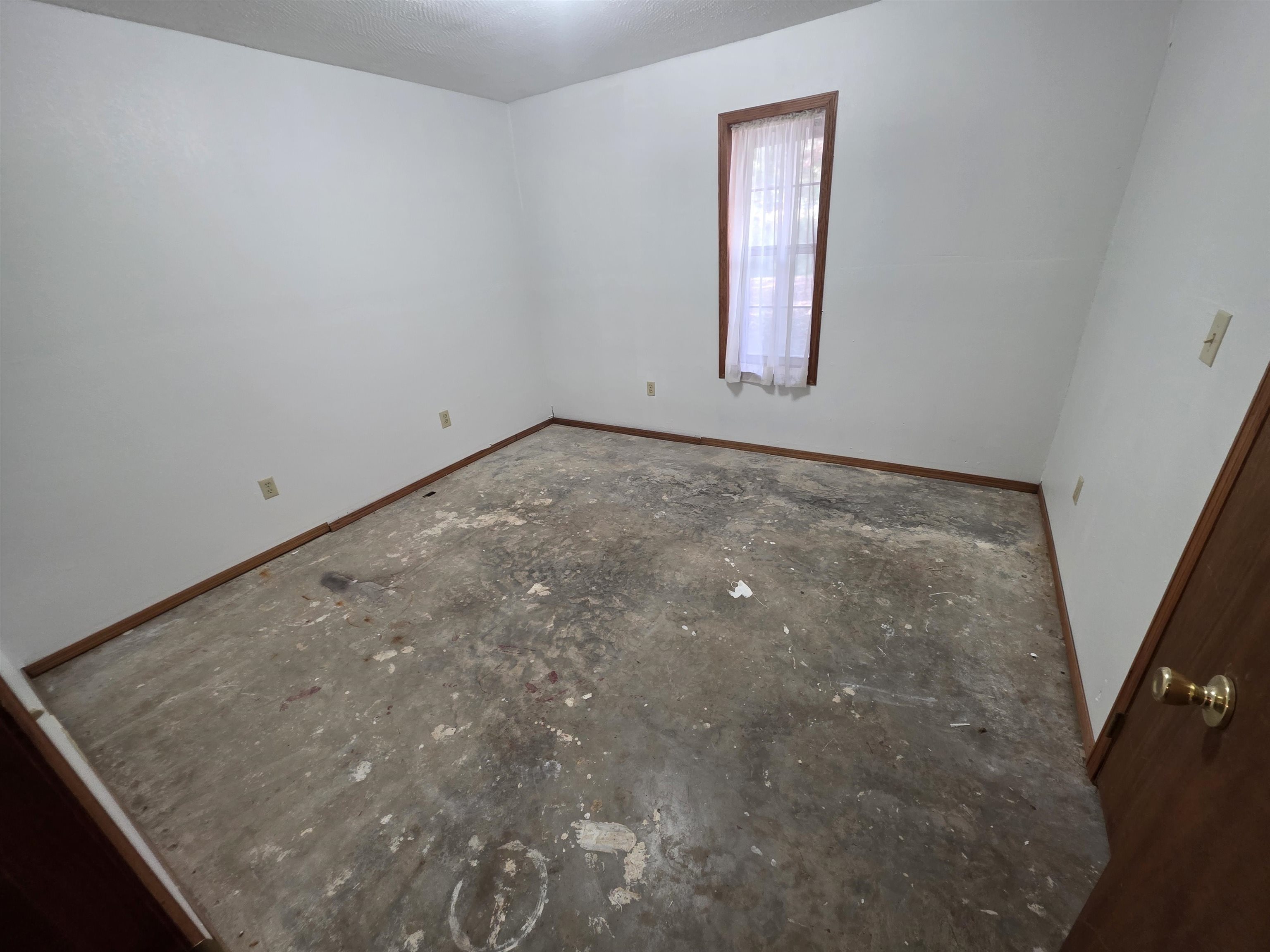 14 Highland Park Drive Property Photo 42