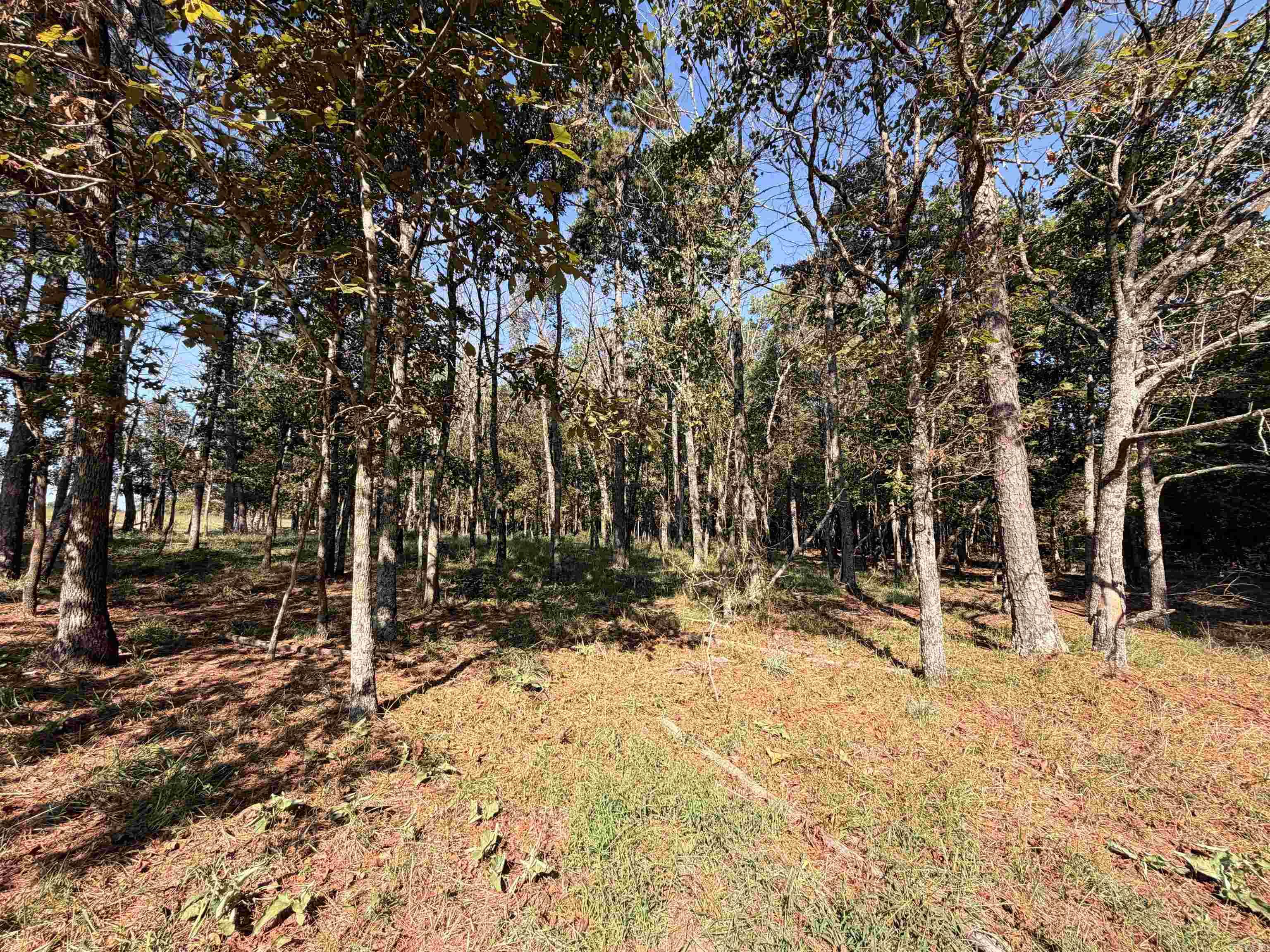 00 Calico Road Property Photo 19