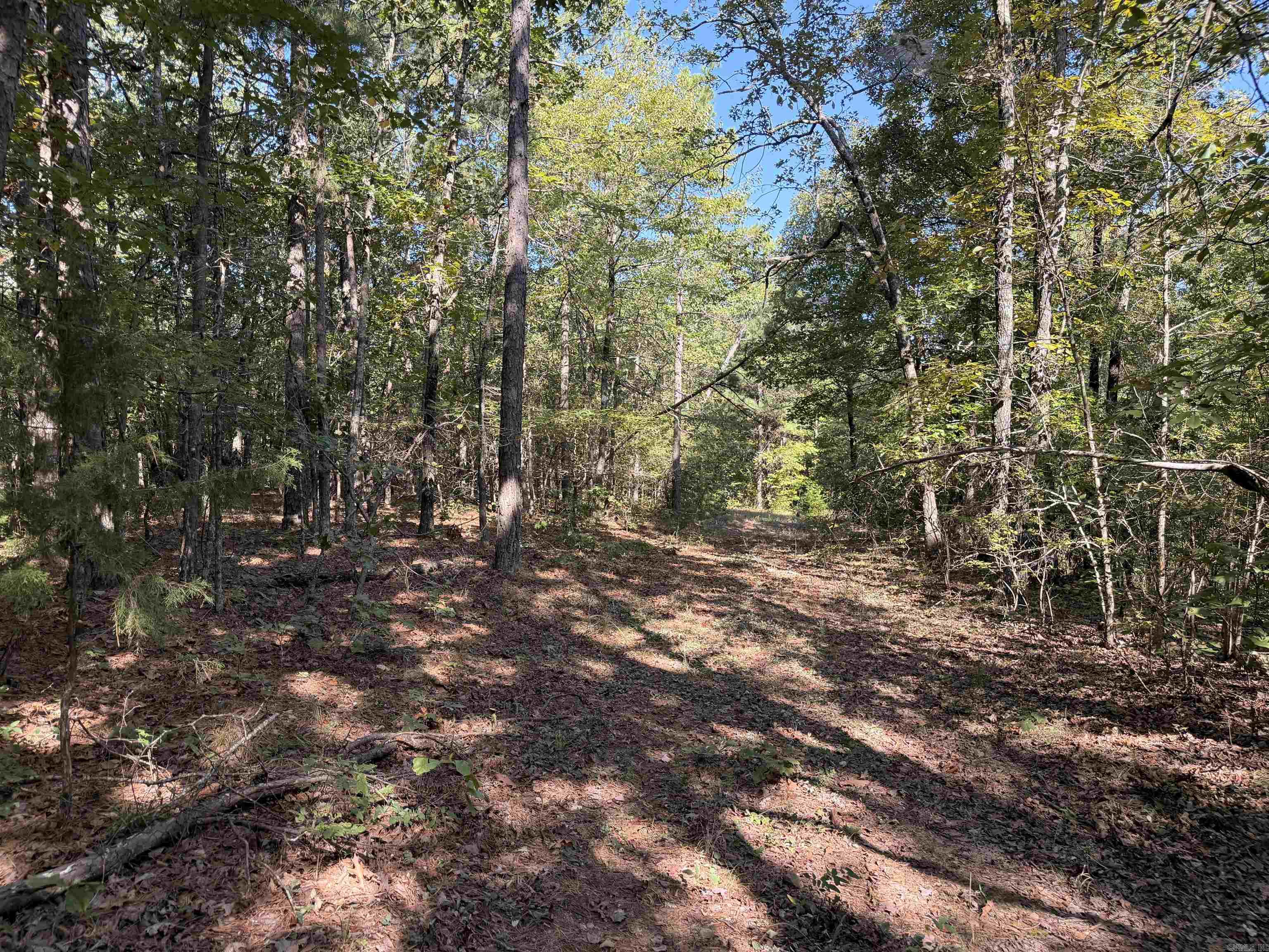 00 Calico Road Property Photo 21