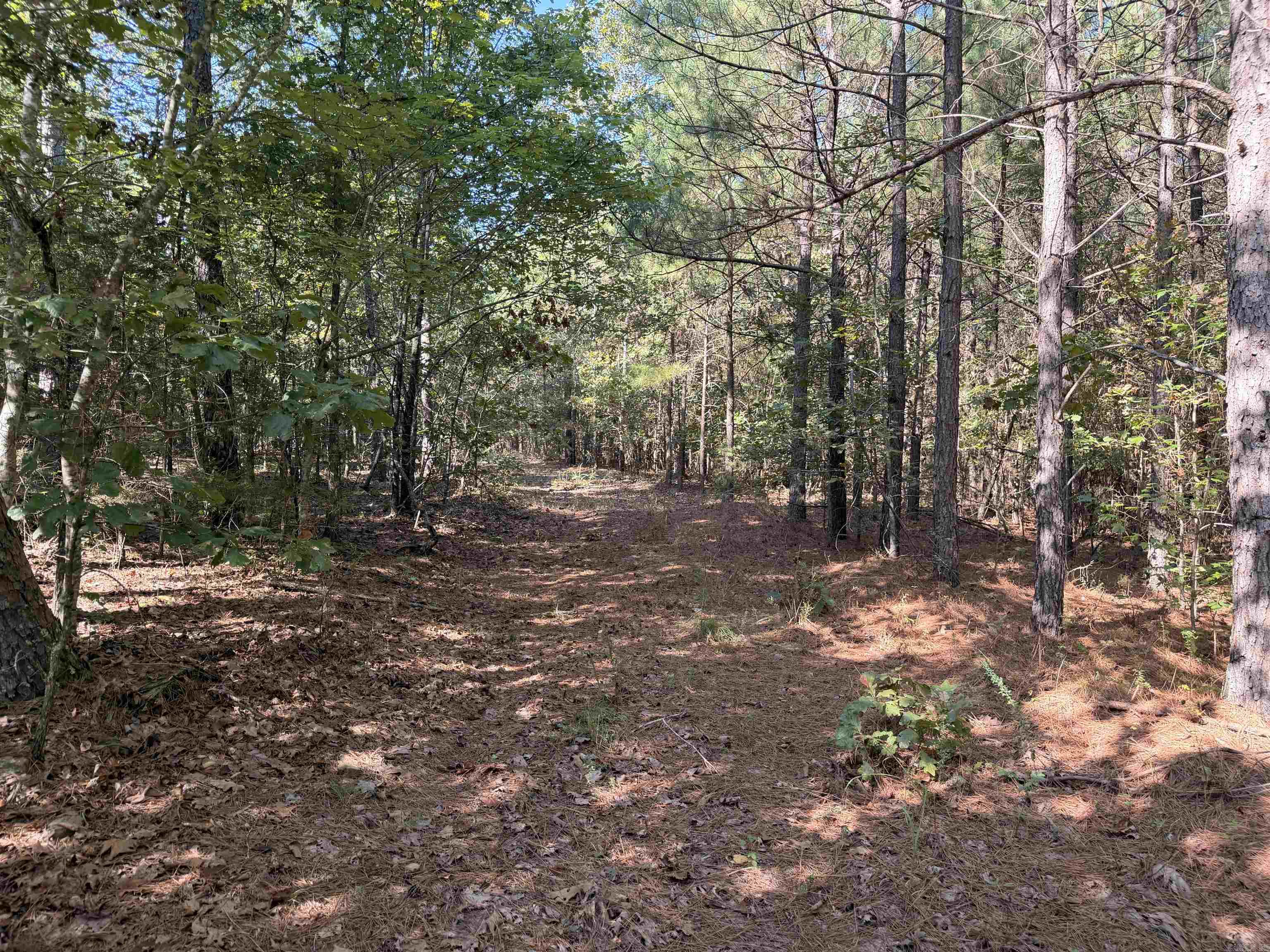 00 Calico Road Property Photo 22