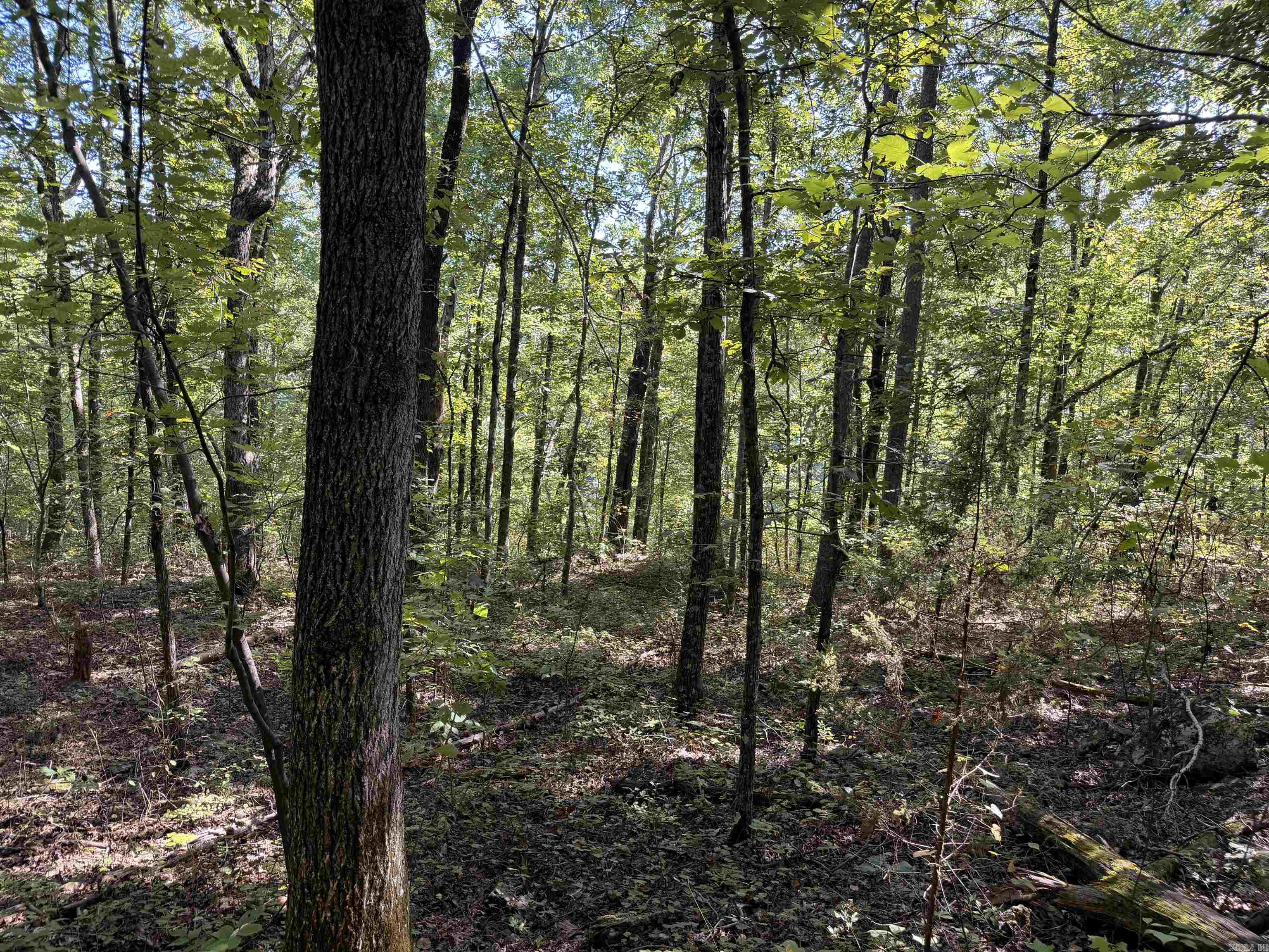 00 Calico Road Property Photo 24