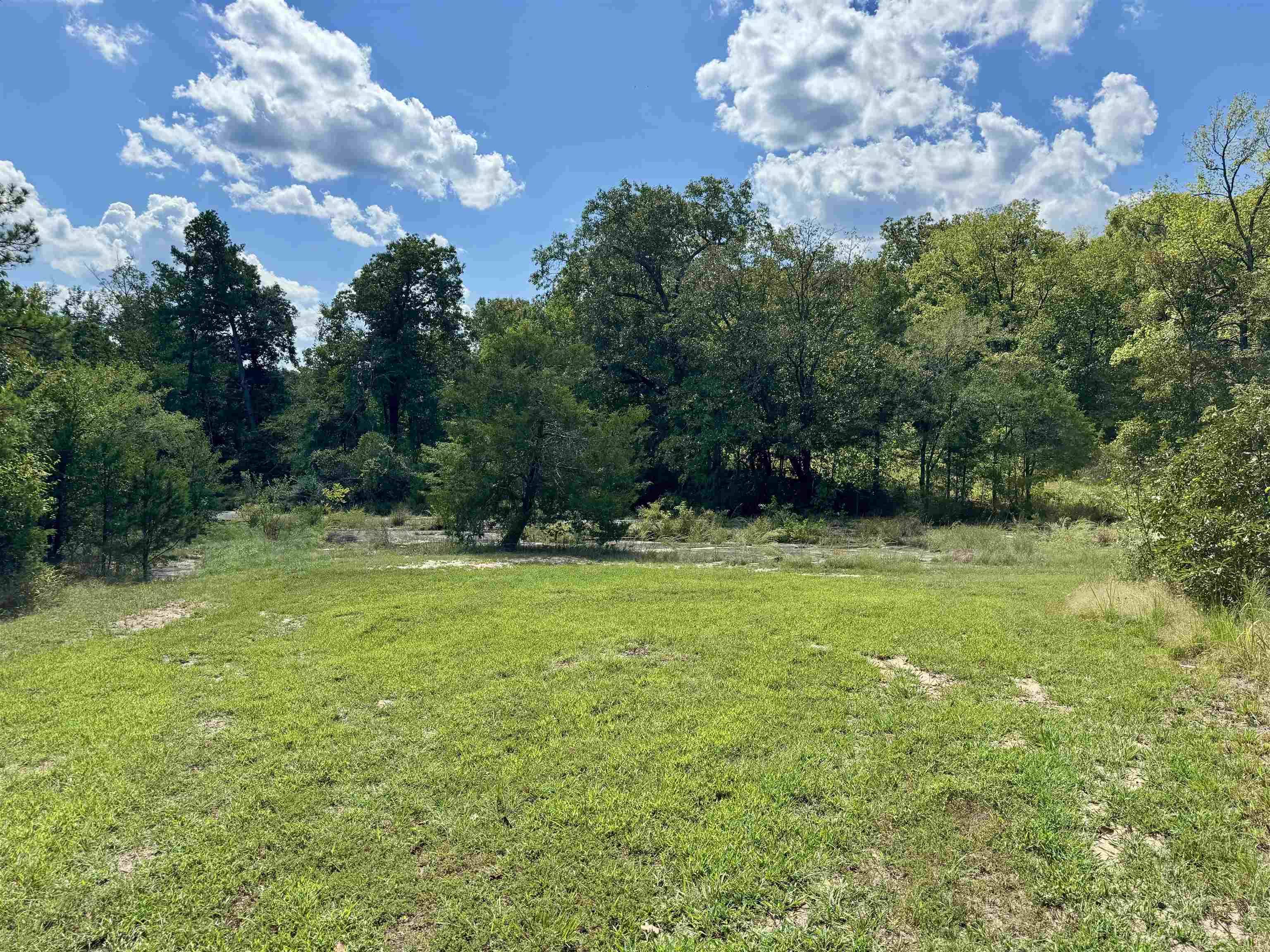 6653 Gorby Road Property Photo 19