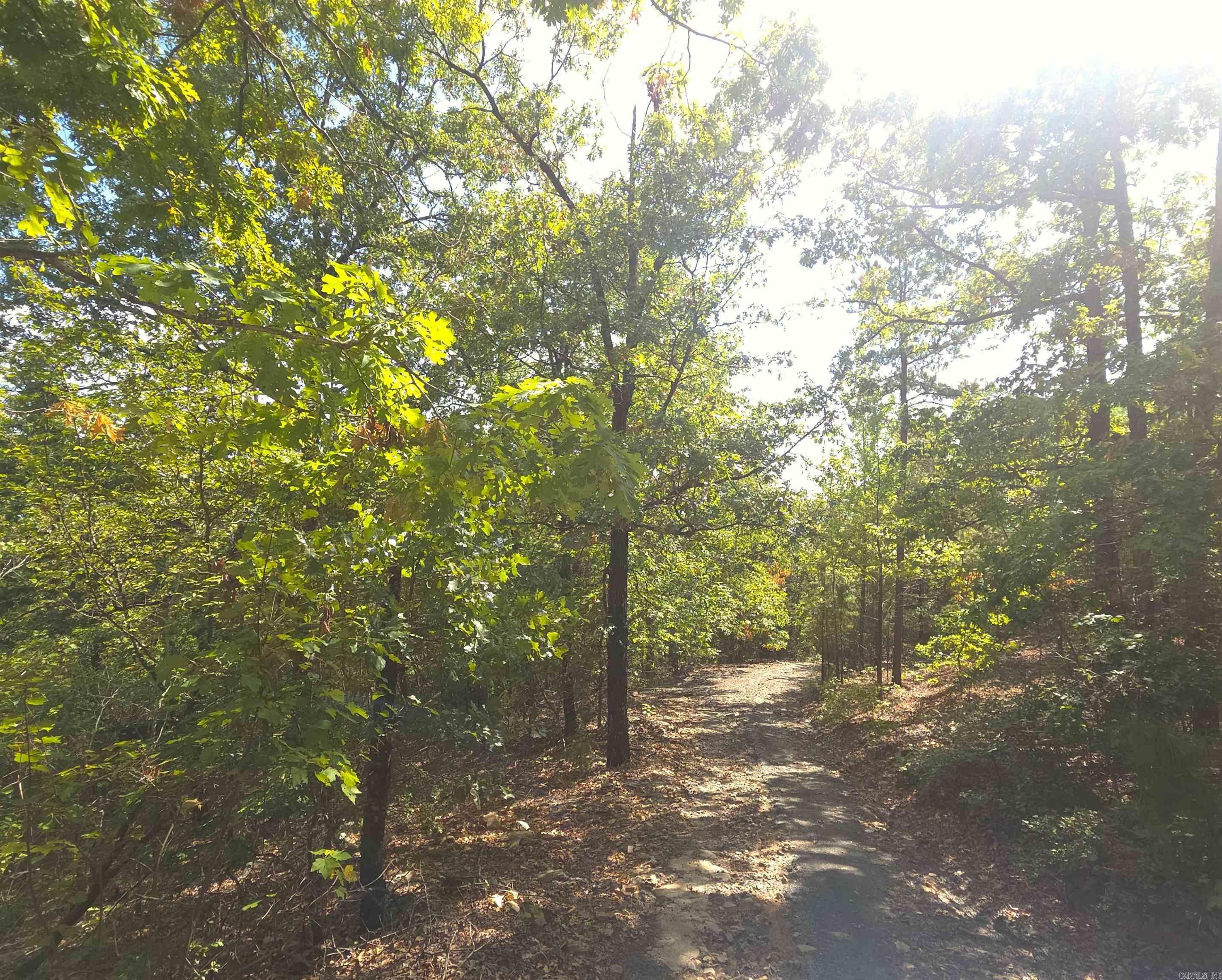 Tbd Diamond Rose Lane Property Photo 2