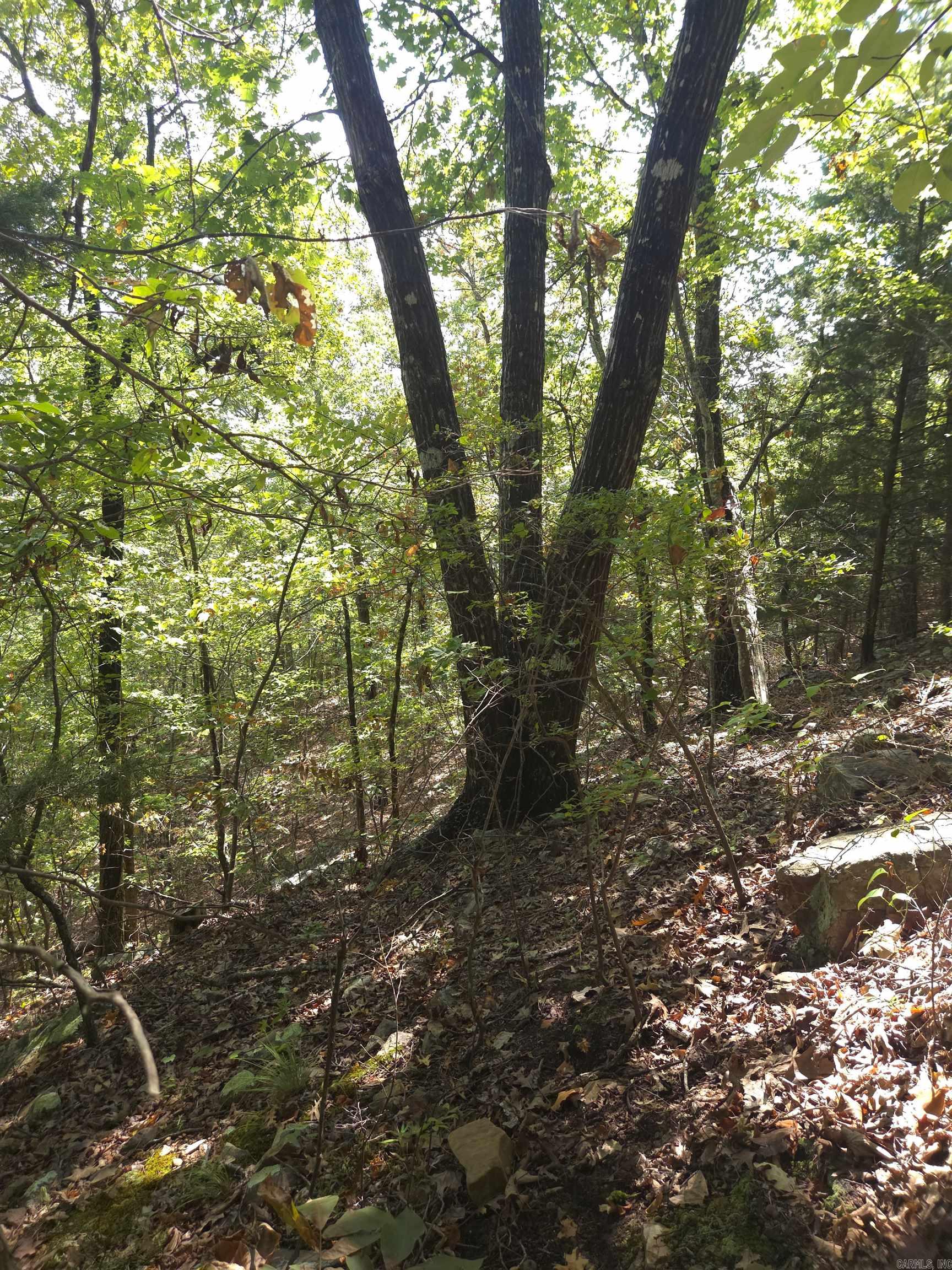 Tbd Diamond Rose Lane Property Photo 6