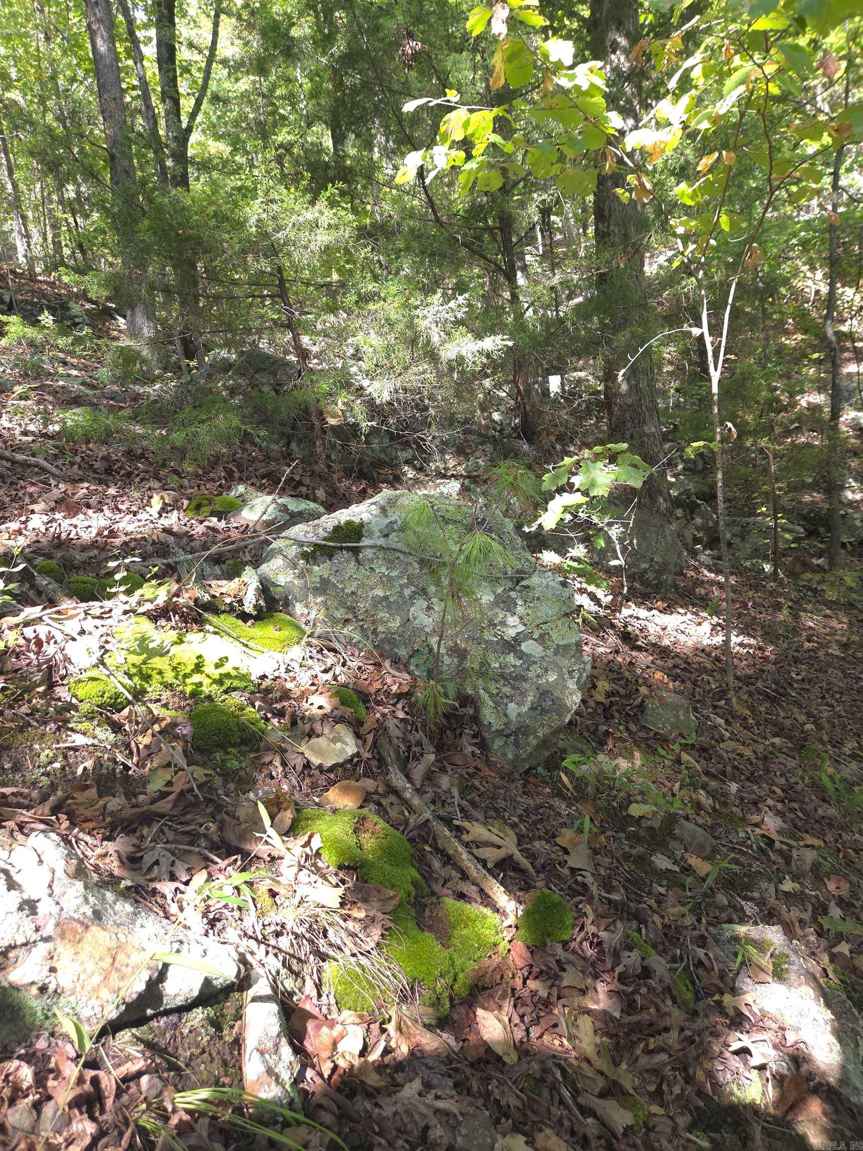 Tbd Diamond Rose Lane Property Photo 7