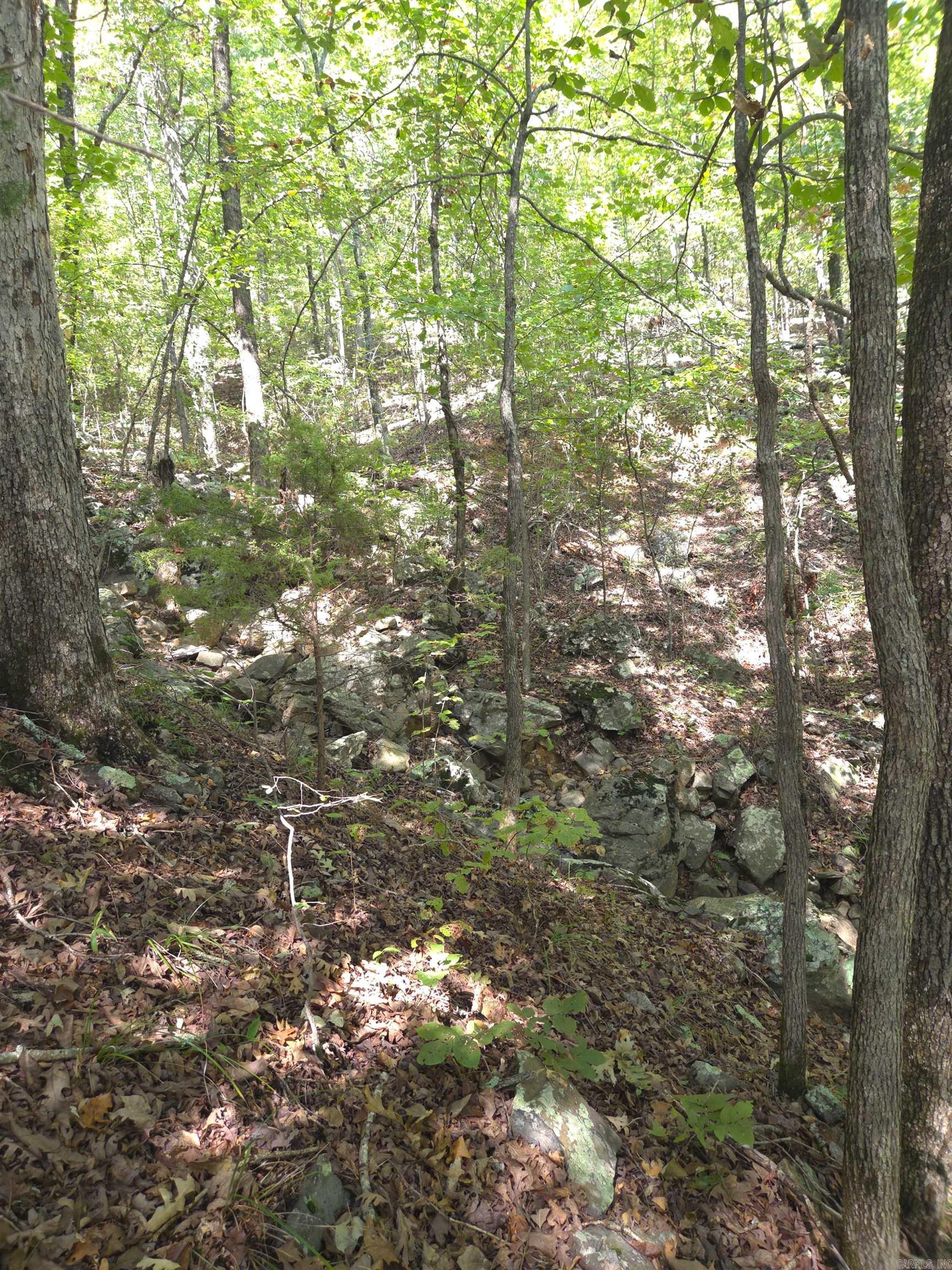 Tbd Diamond Rose Lane Property Photo 8